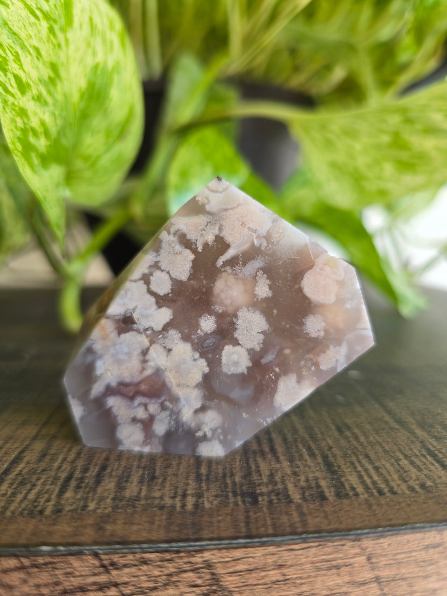 Flower Agate Free Form