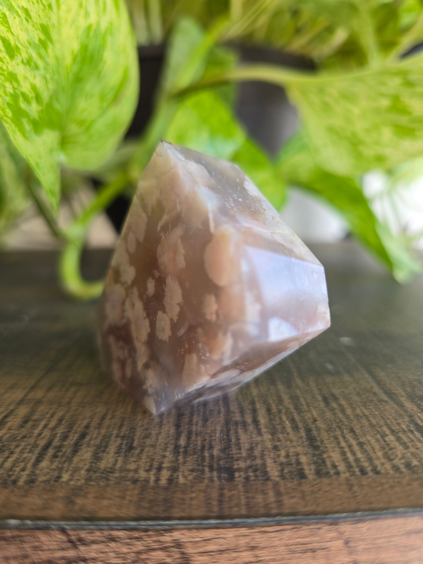 Flower Agate Free Form