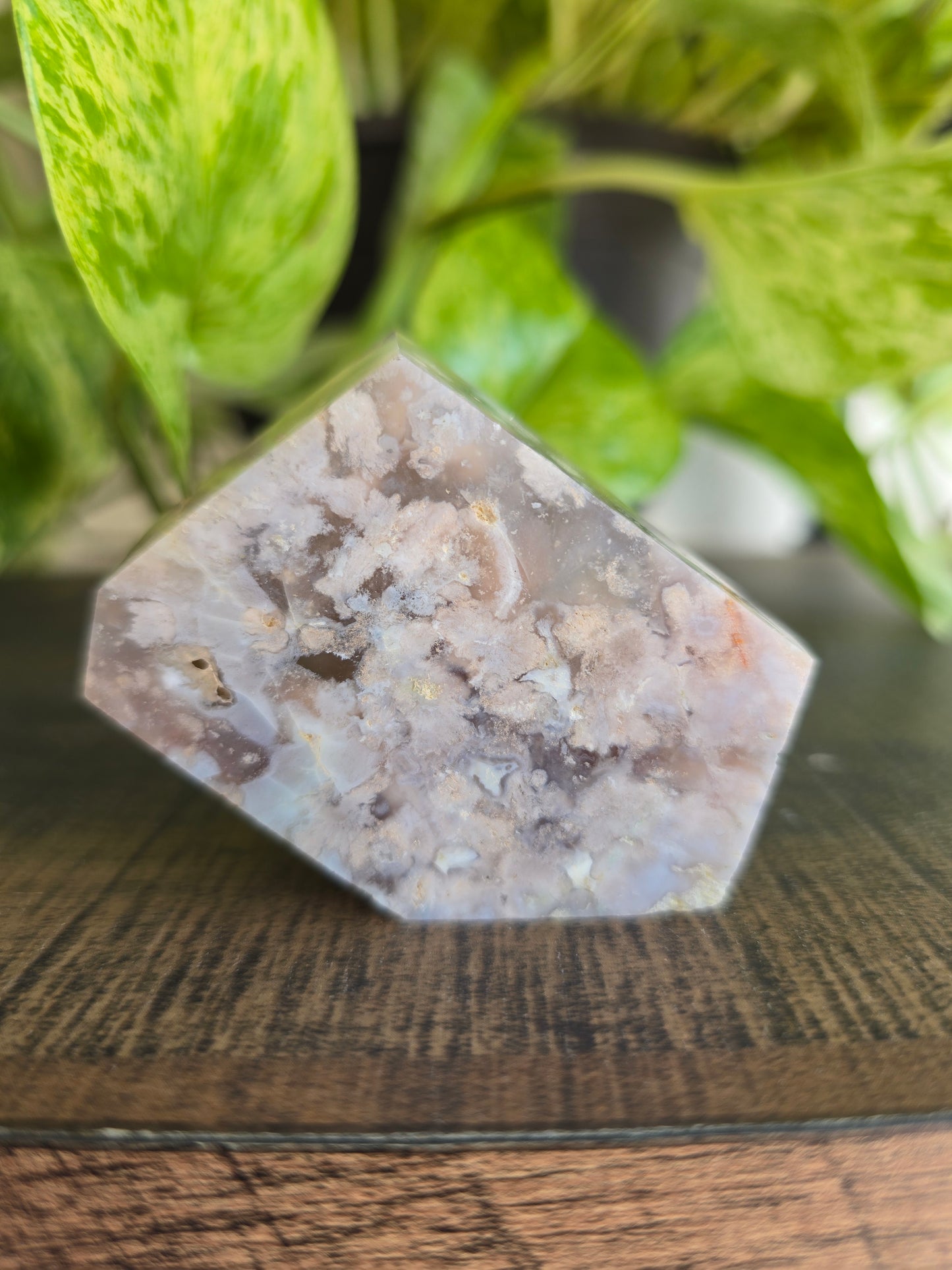 Flower Agate Free Form