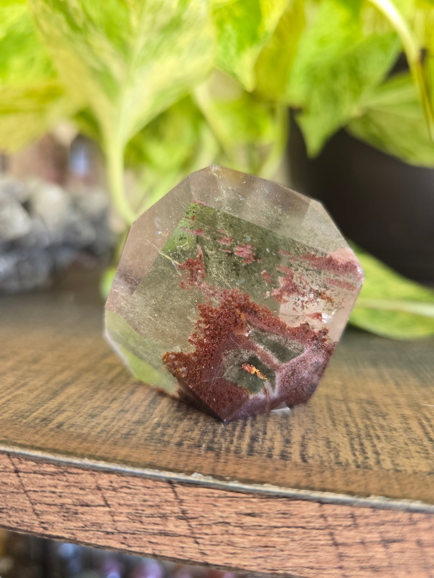 Garden Quartz Free Form