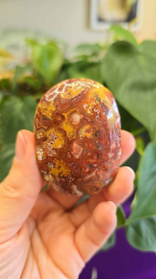 Red Mexican Crazy Lace Agate Palm Stone