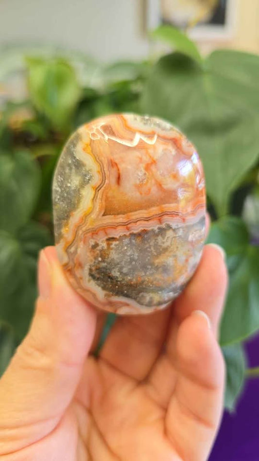 Red Mexican Crazy Lace Agate Palm Stone