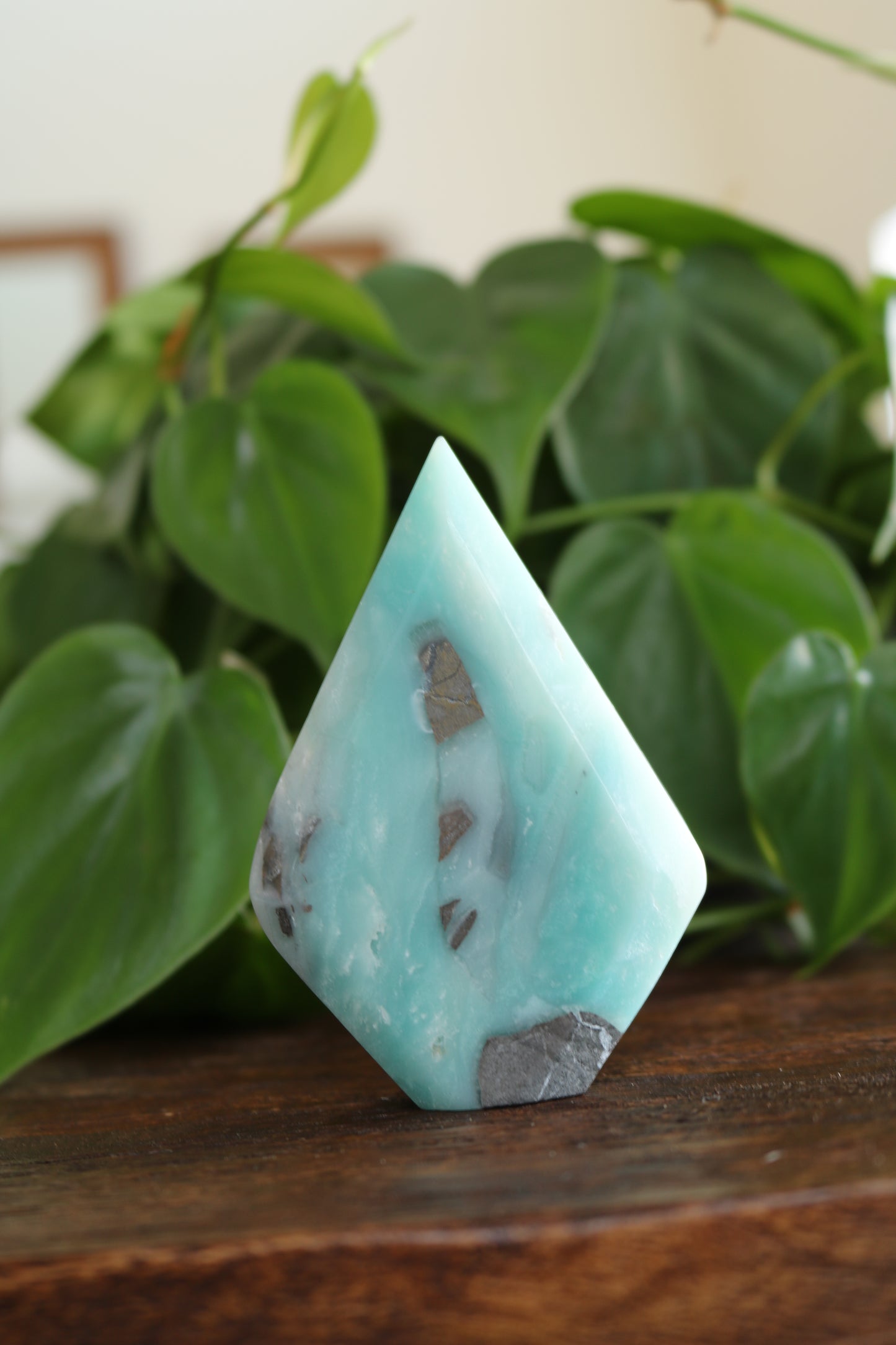 Caribbean Calcite Flipper