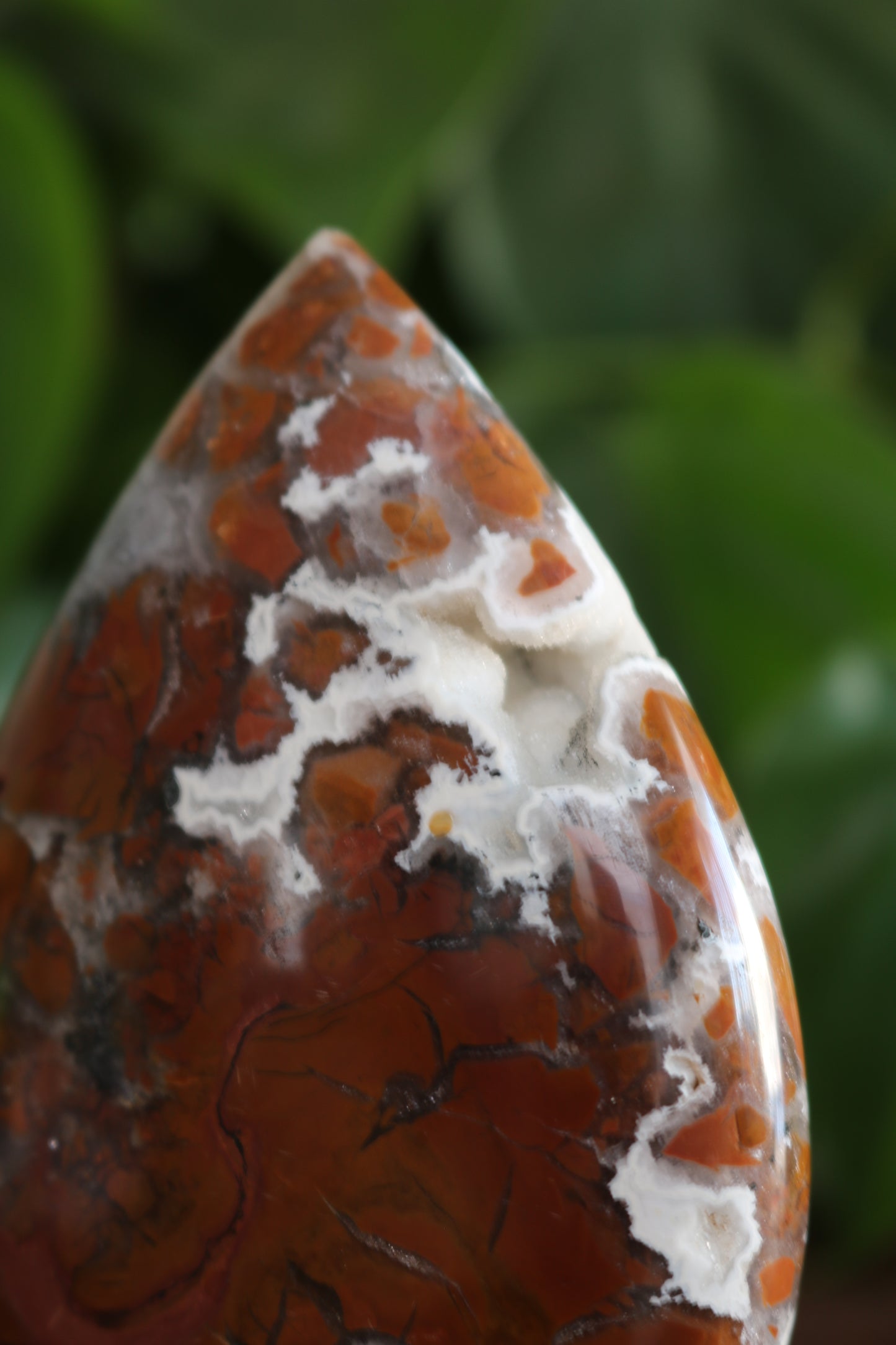 Maligano Jasper Flipper