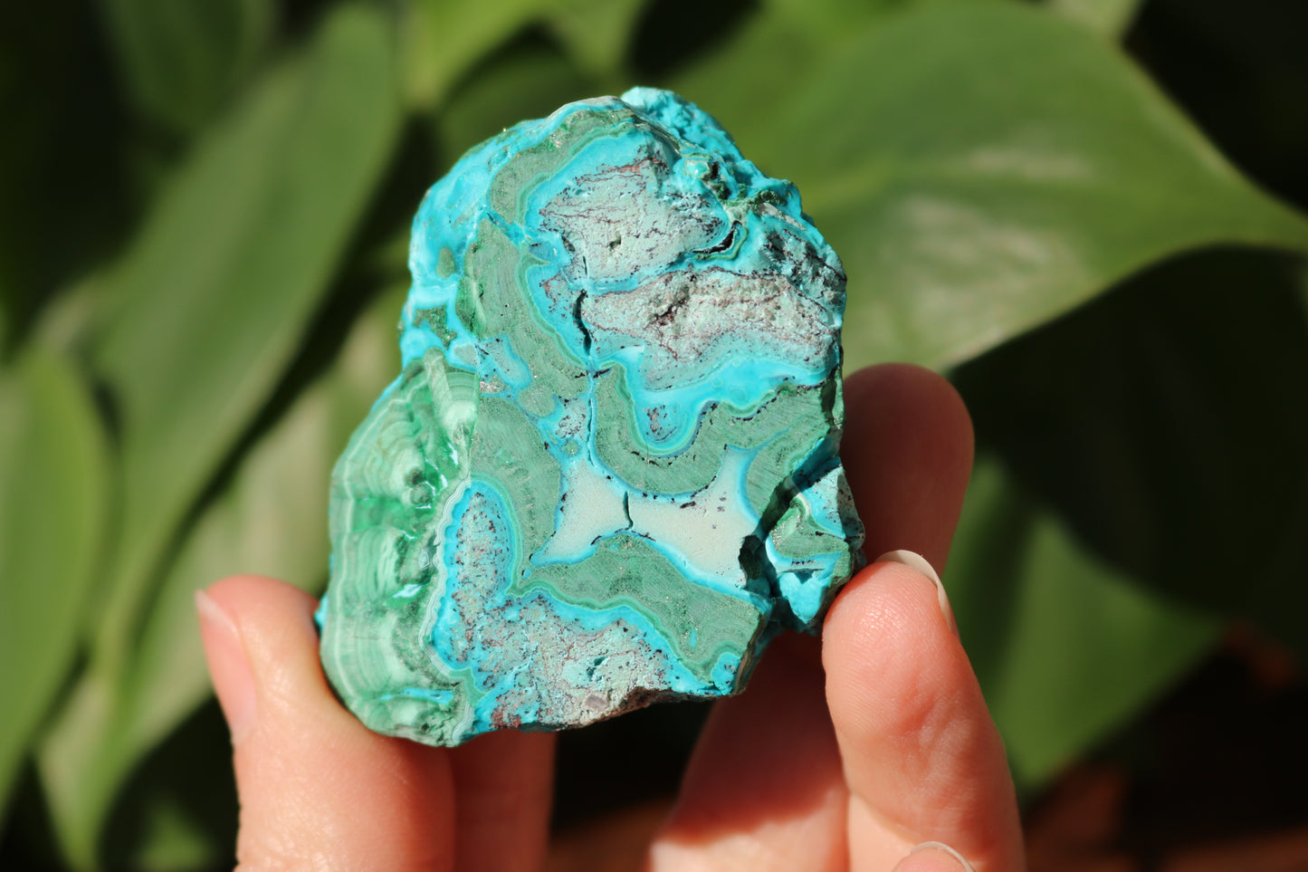 Chrysocolla & Malachite Polished Specimen