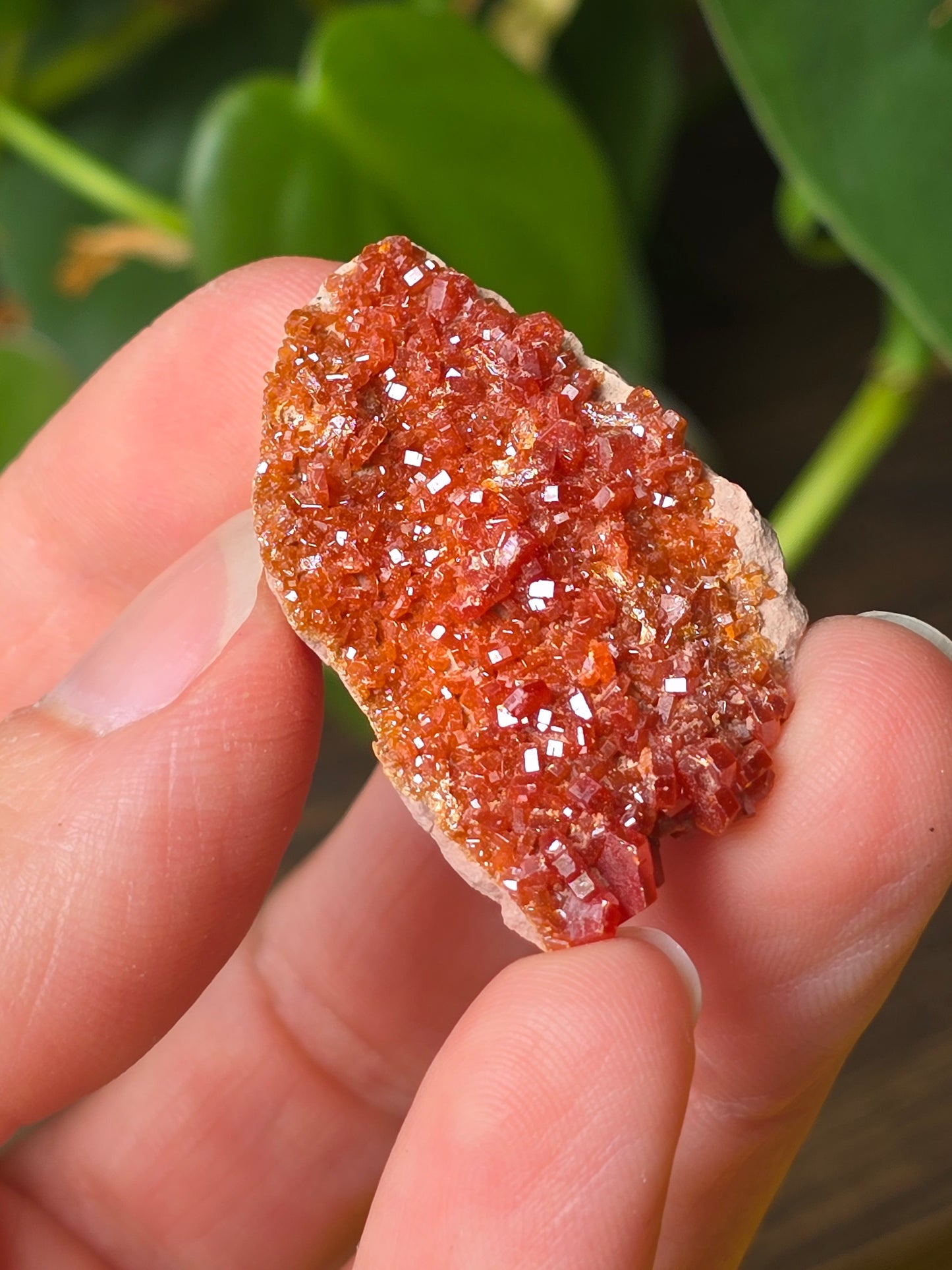 Vanadinite Cluster