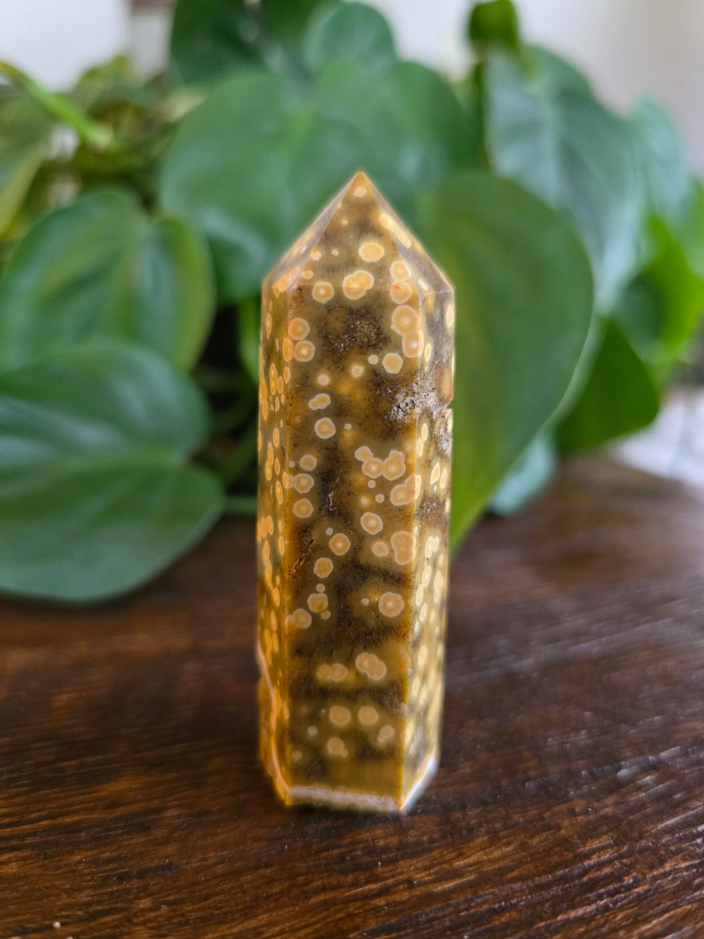 Ocean Jasper Tower "C"