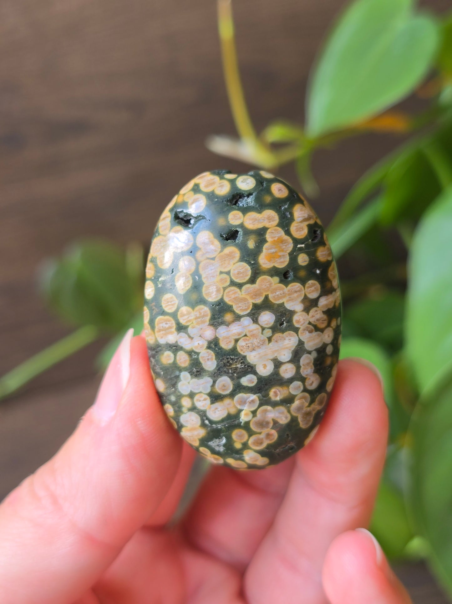 8th Vein Ocean Jasper Palm Stone