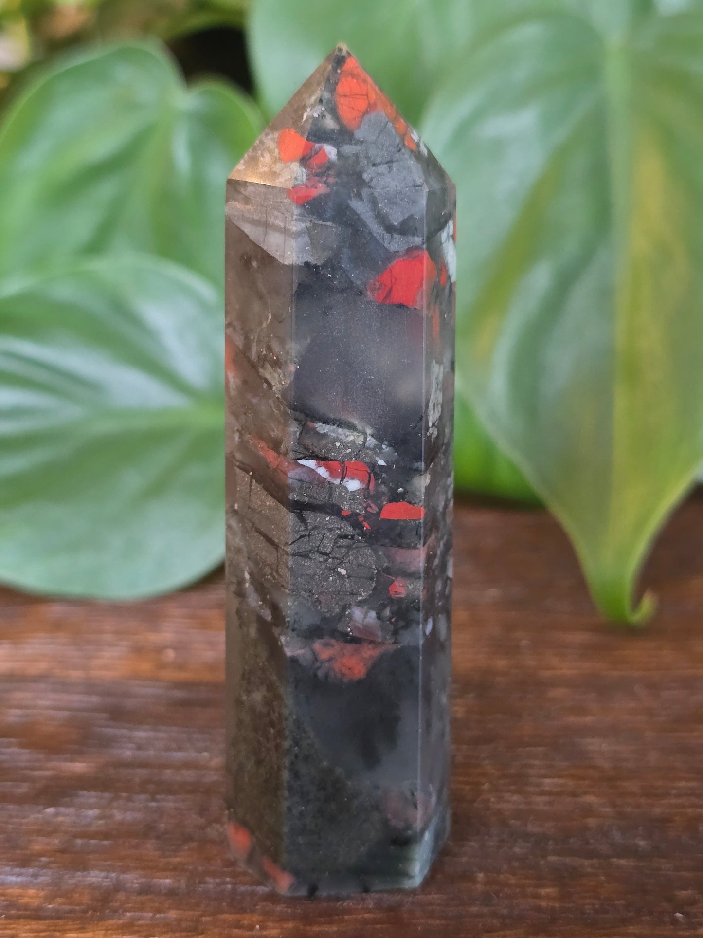 African Bloodstone Point "E"