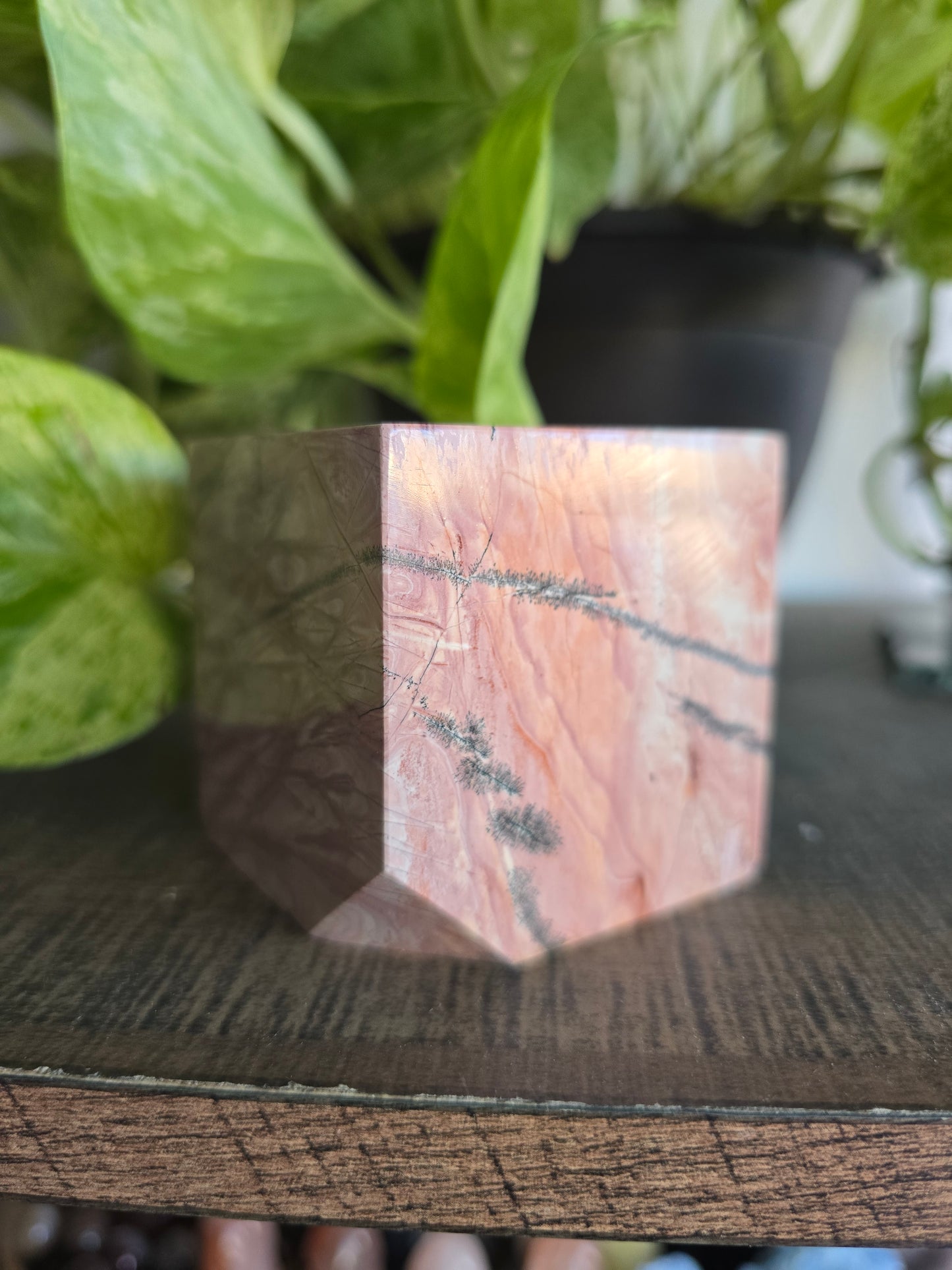 Picture Jasper Cube