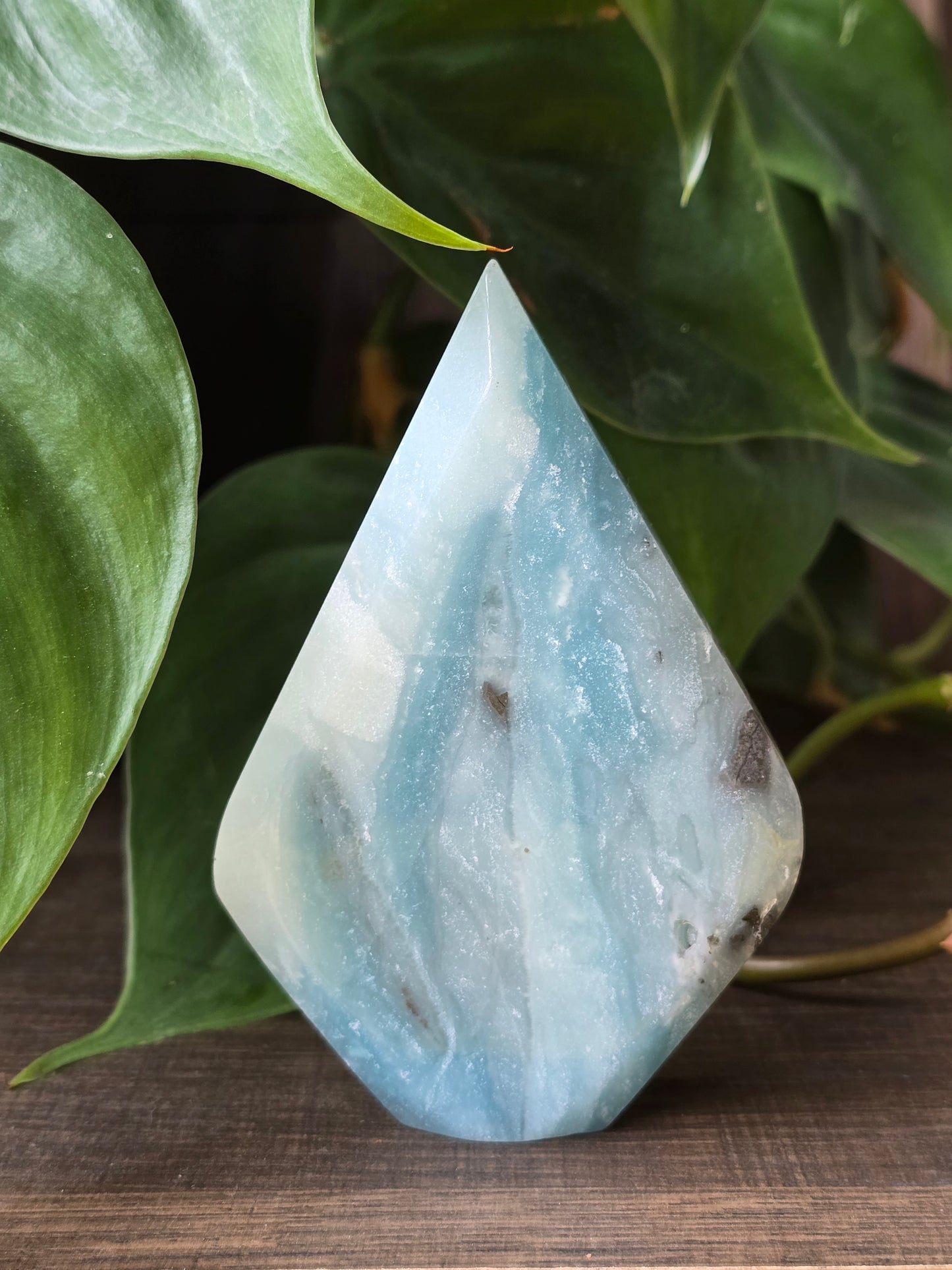 Caribbean Calcite Flipper