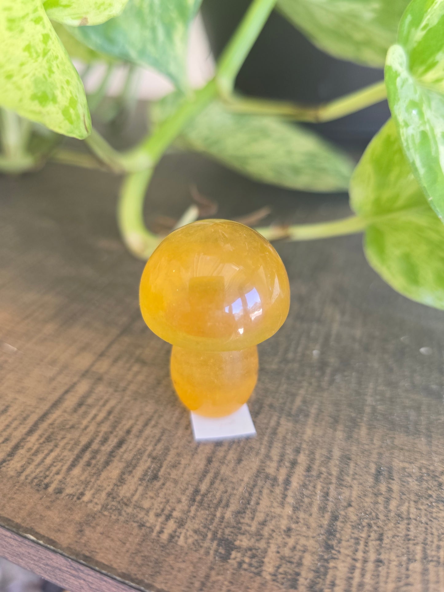 Fluorite Mushroom Carving