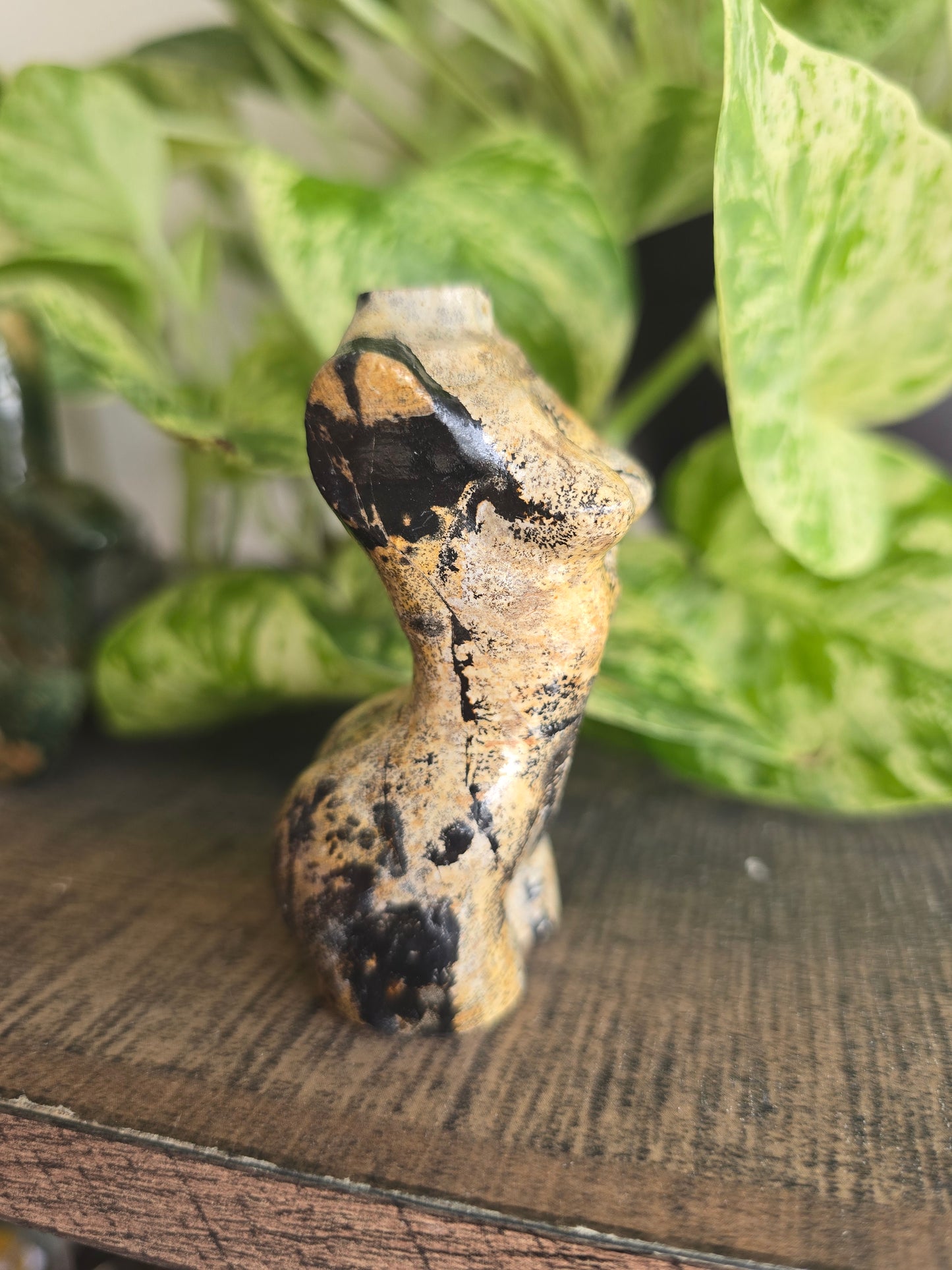 Picture Jasper Female Torso
