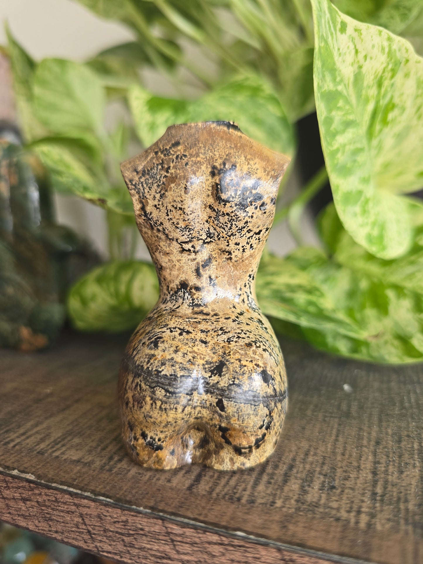 Picture Jasper Female Torso