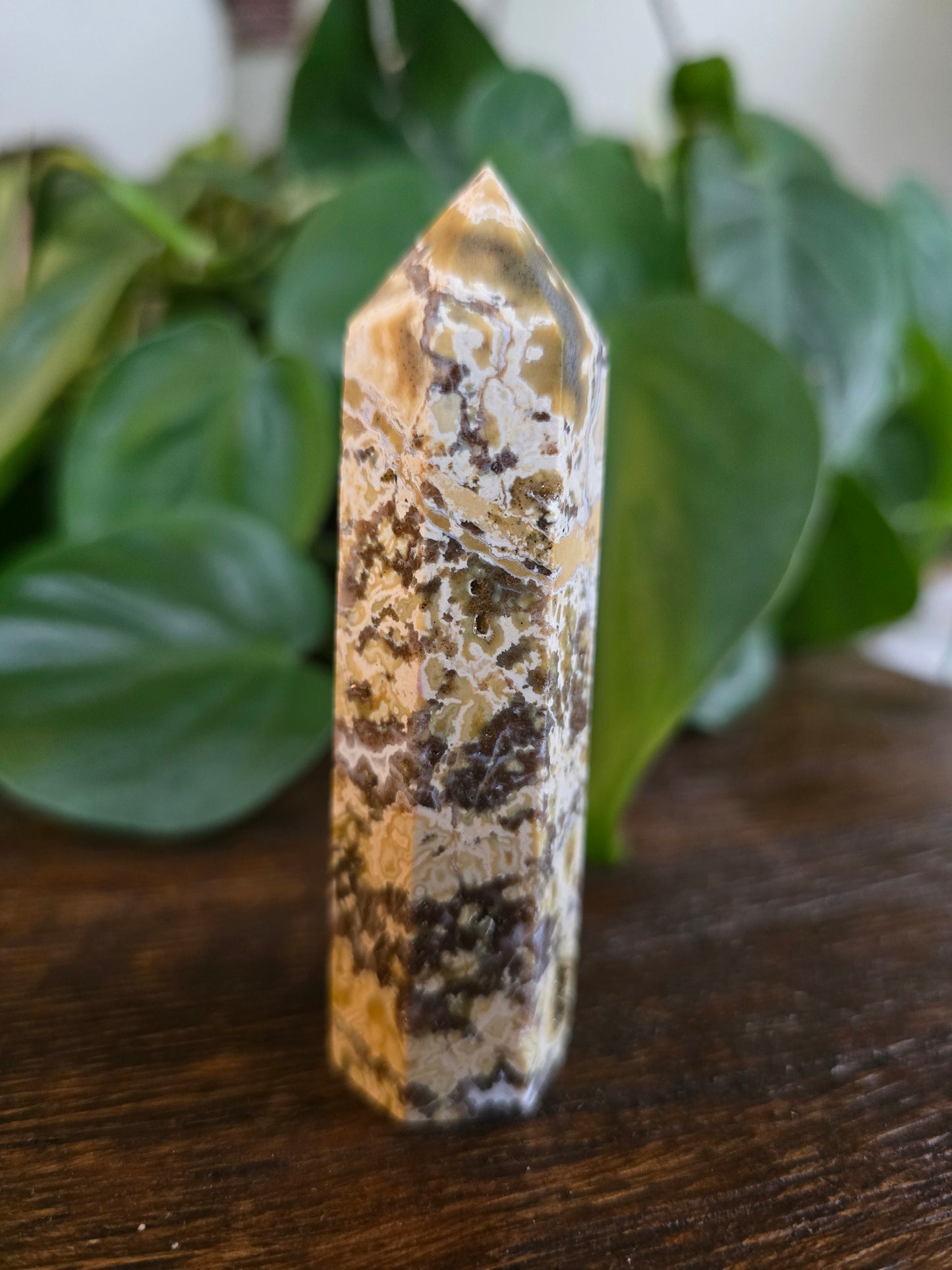 Ocean Jasper Tower "B"