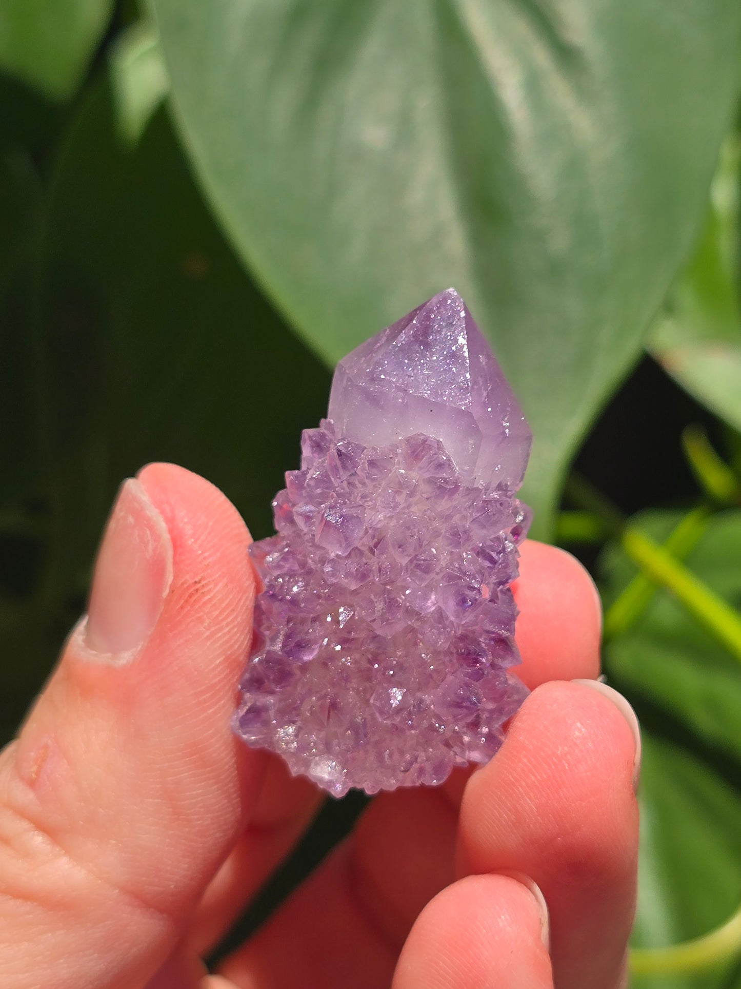 Amethyst Spirit Cactus Quartz Crystal Specimen "B"