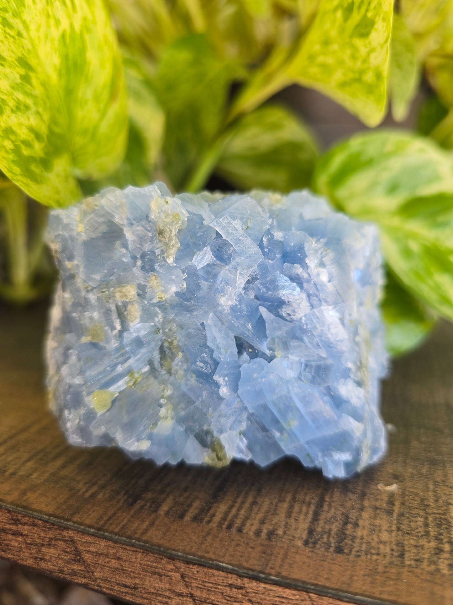 Celestite with Peridot Rough Specimen