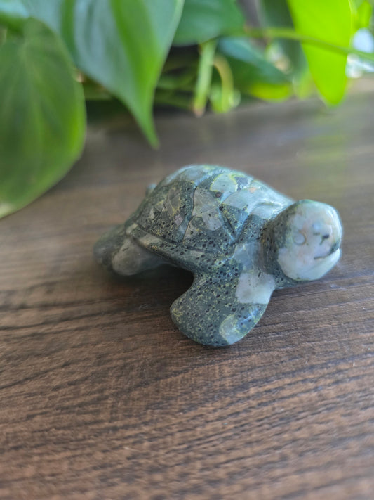 Que Sera Turtle Carving