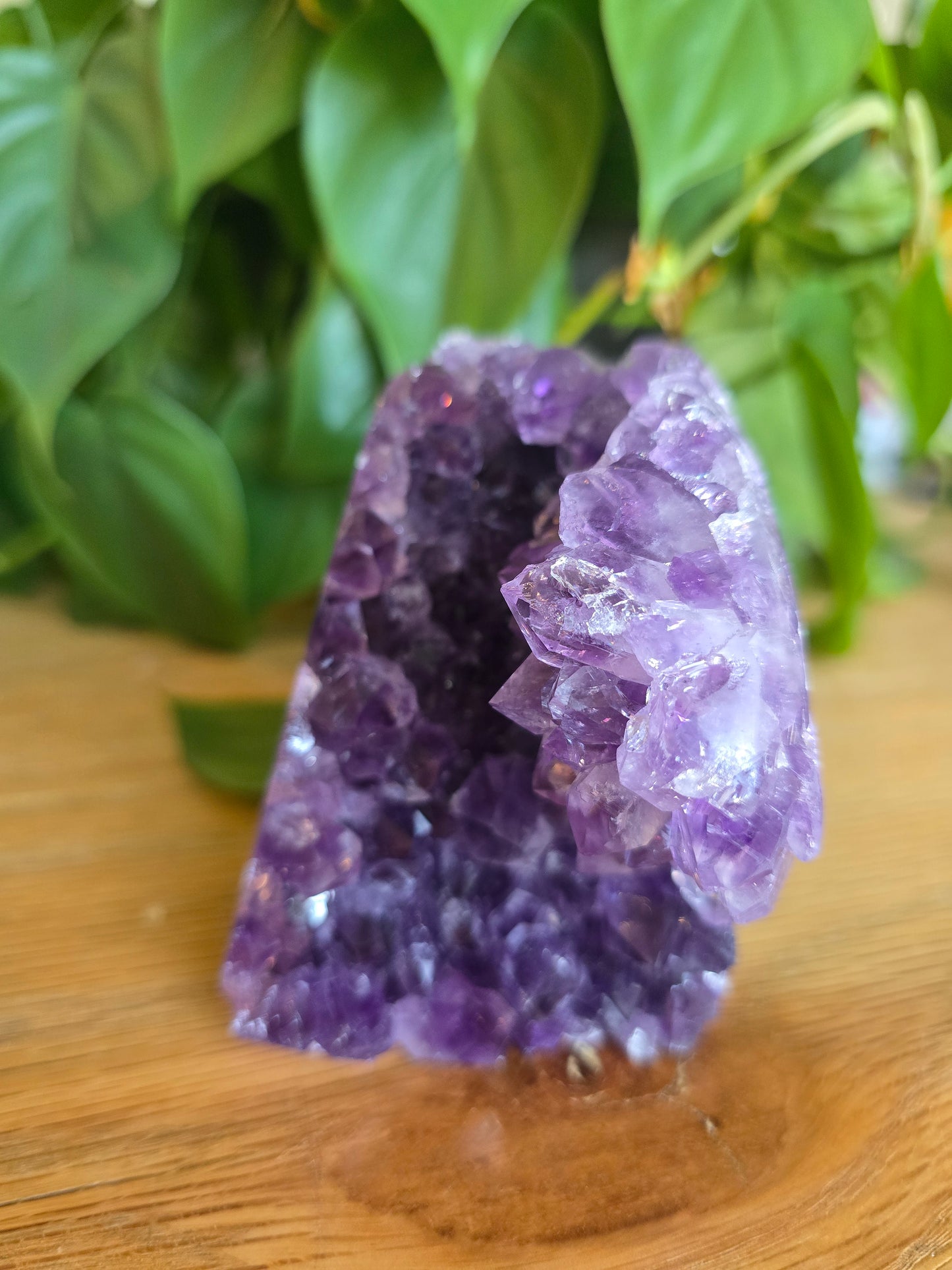 Druzy Amethyst Cluster