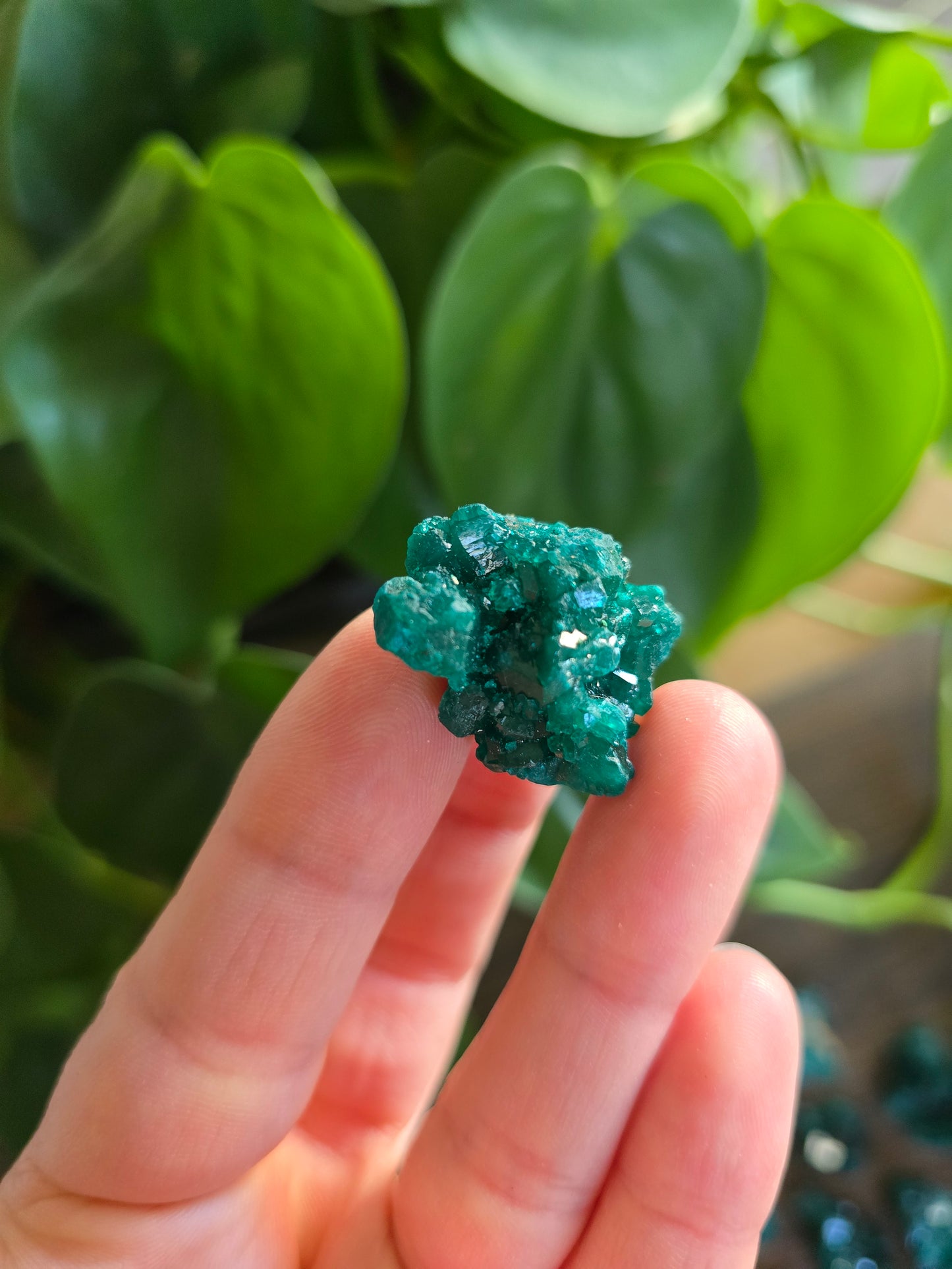 Dioptase Rough Specimen - Congo (7)