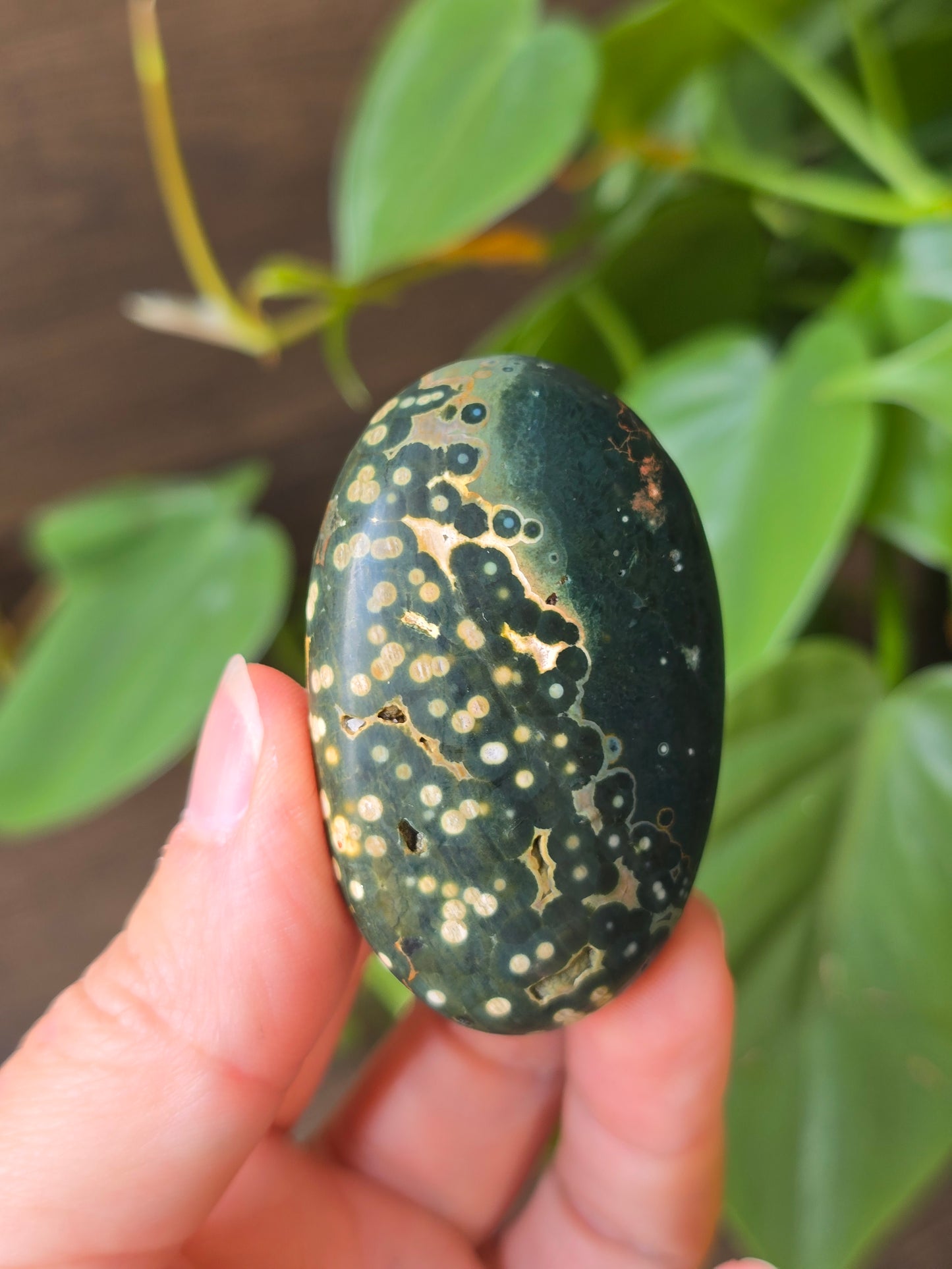 8th Vein Ocean Jasper Palm Stone