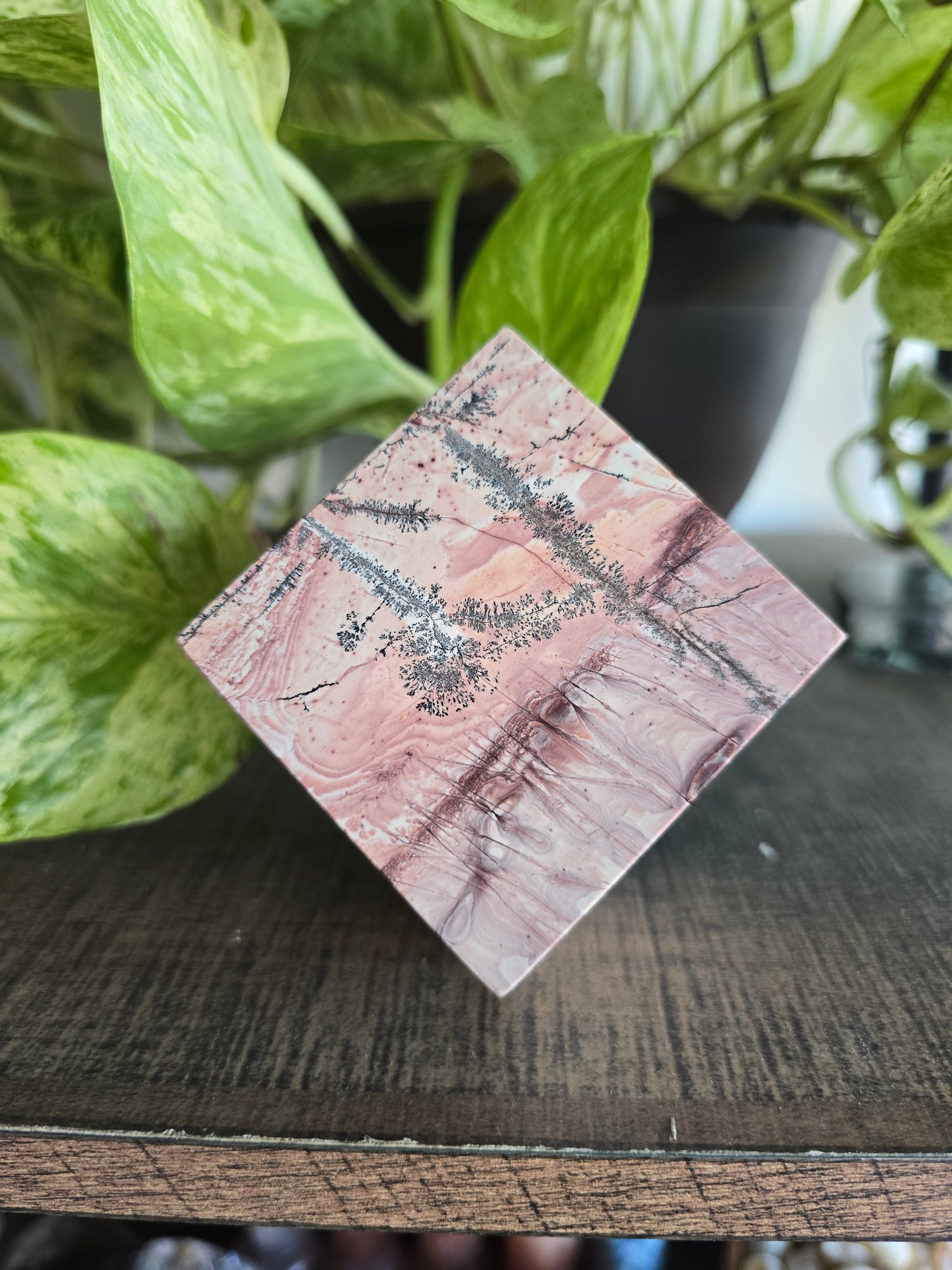 Picture Jasper Cube