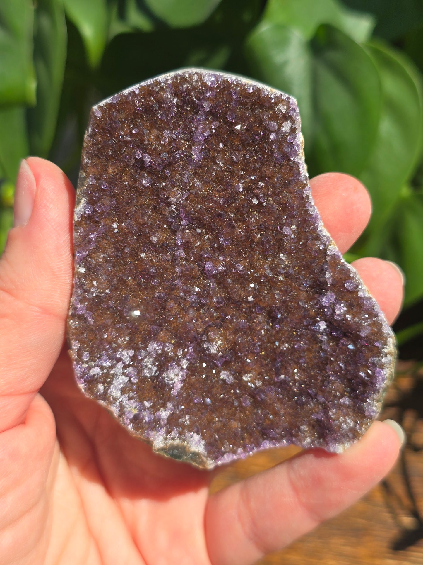 Brazilian Druzy Amethyst Plate