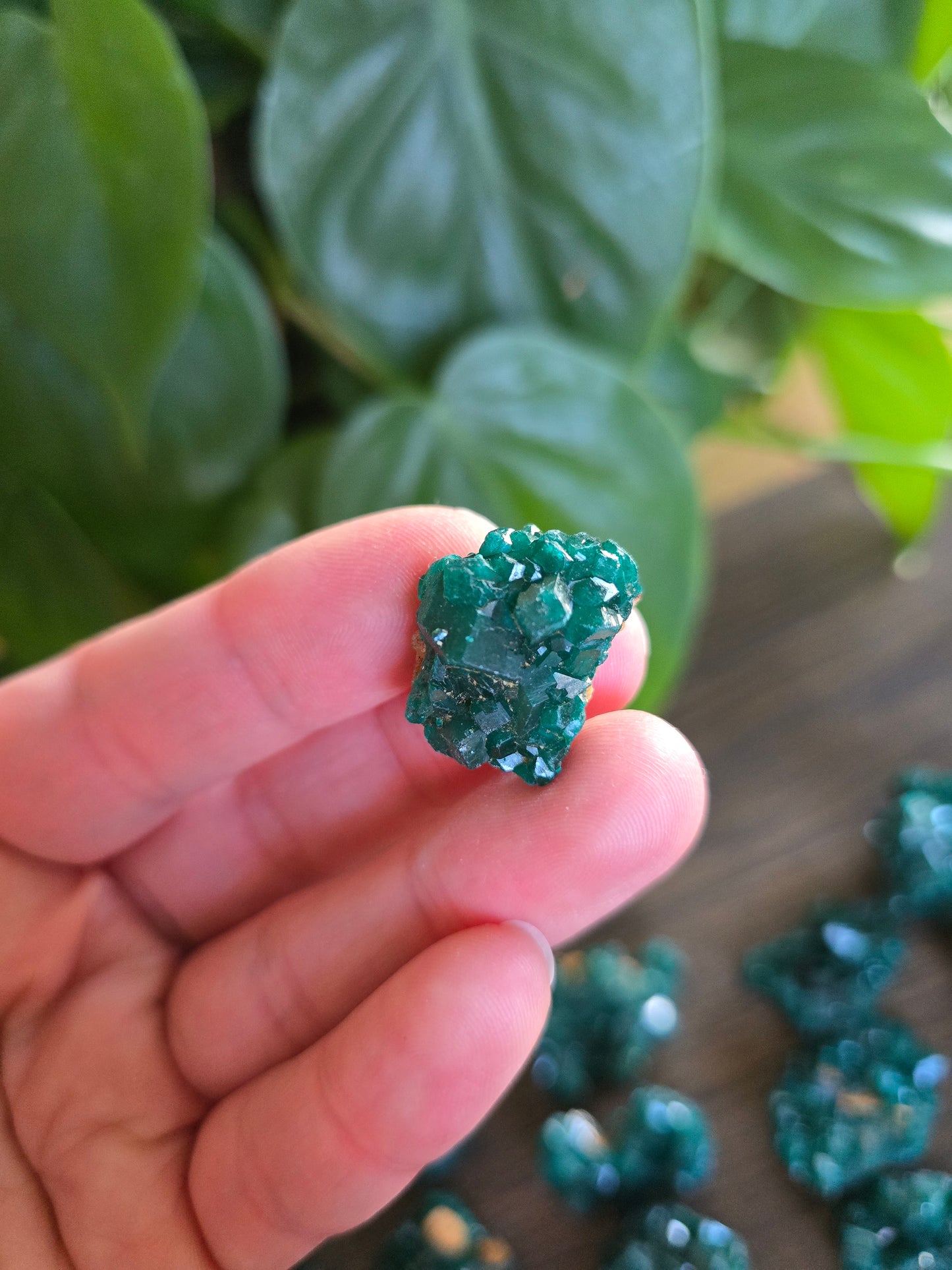 Dioptase Rough Specimen - Congo (33)