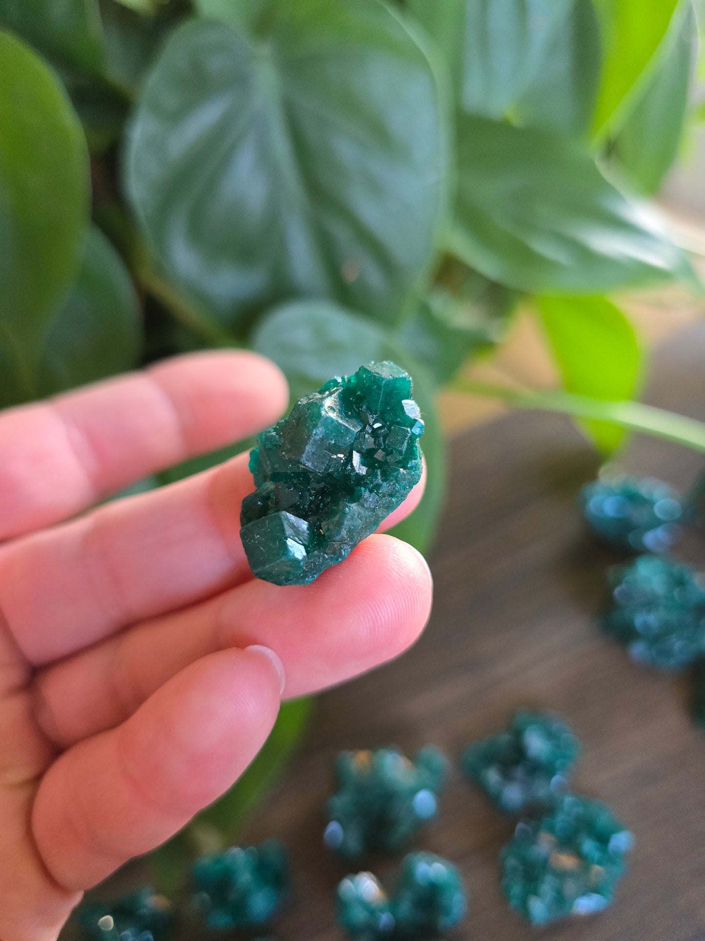 Dioptase Rough Specimen - Congo (21)
