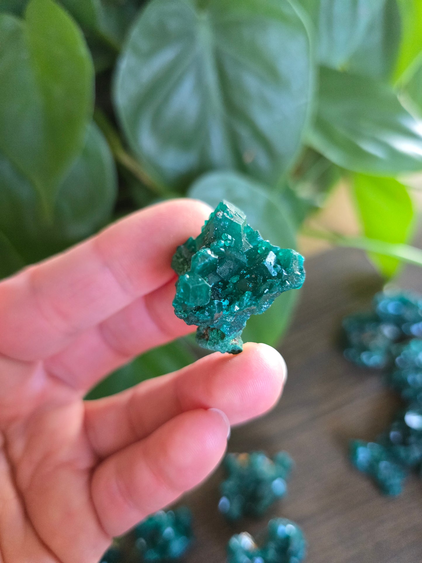Dioptase Rough Specimen - Congo (16)
