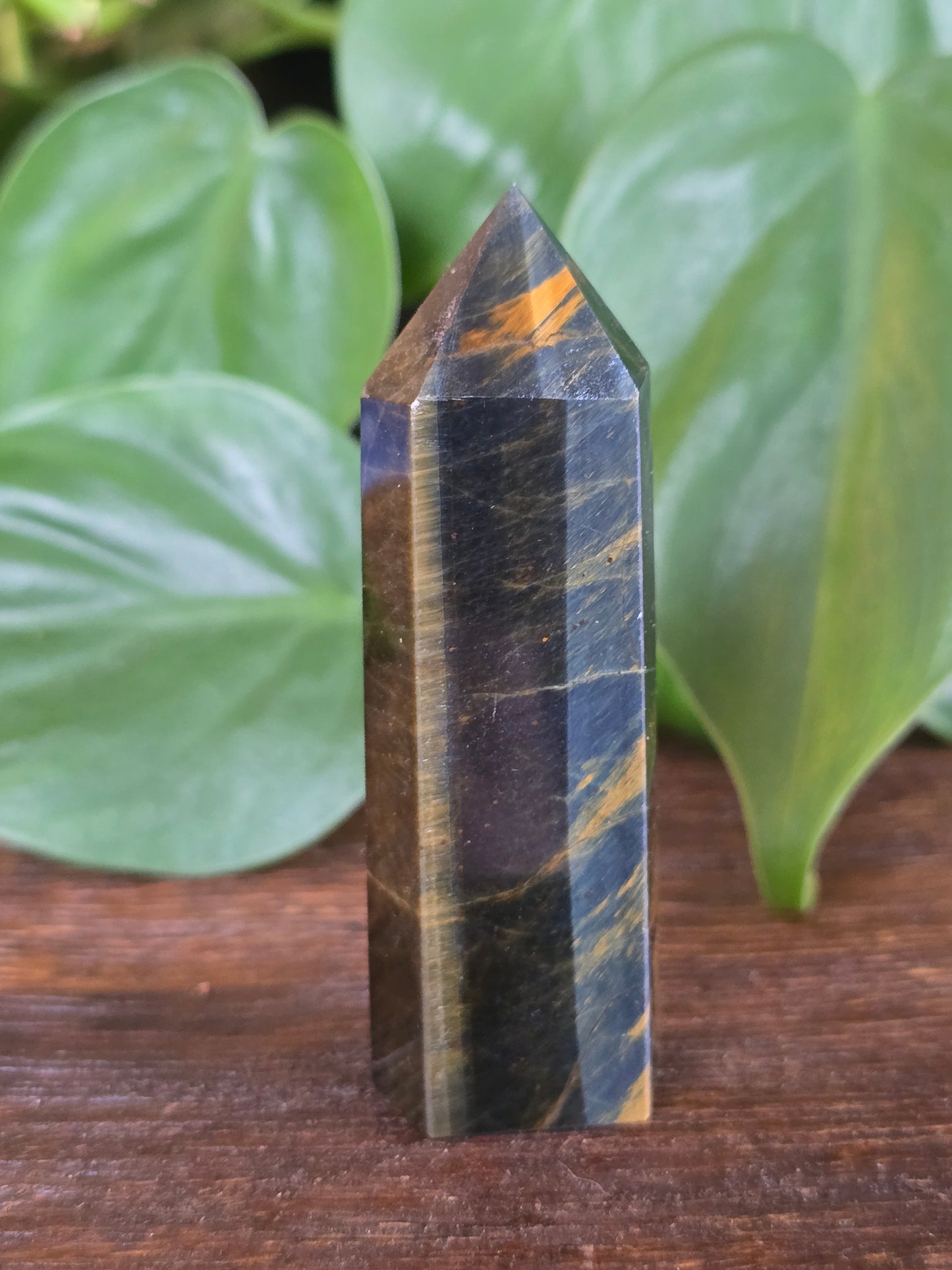 Tiger's Eye Tower "D"