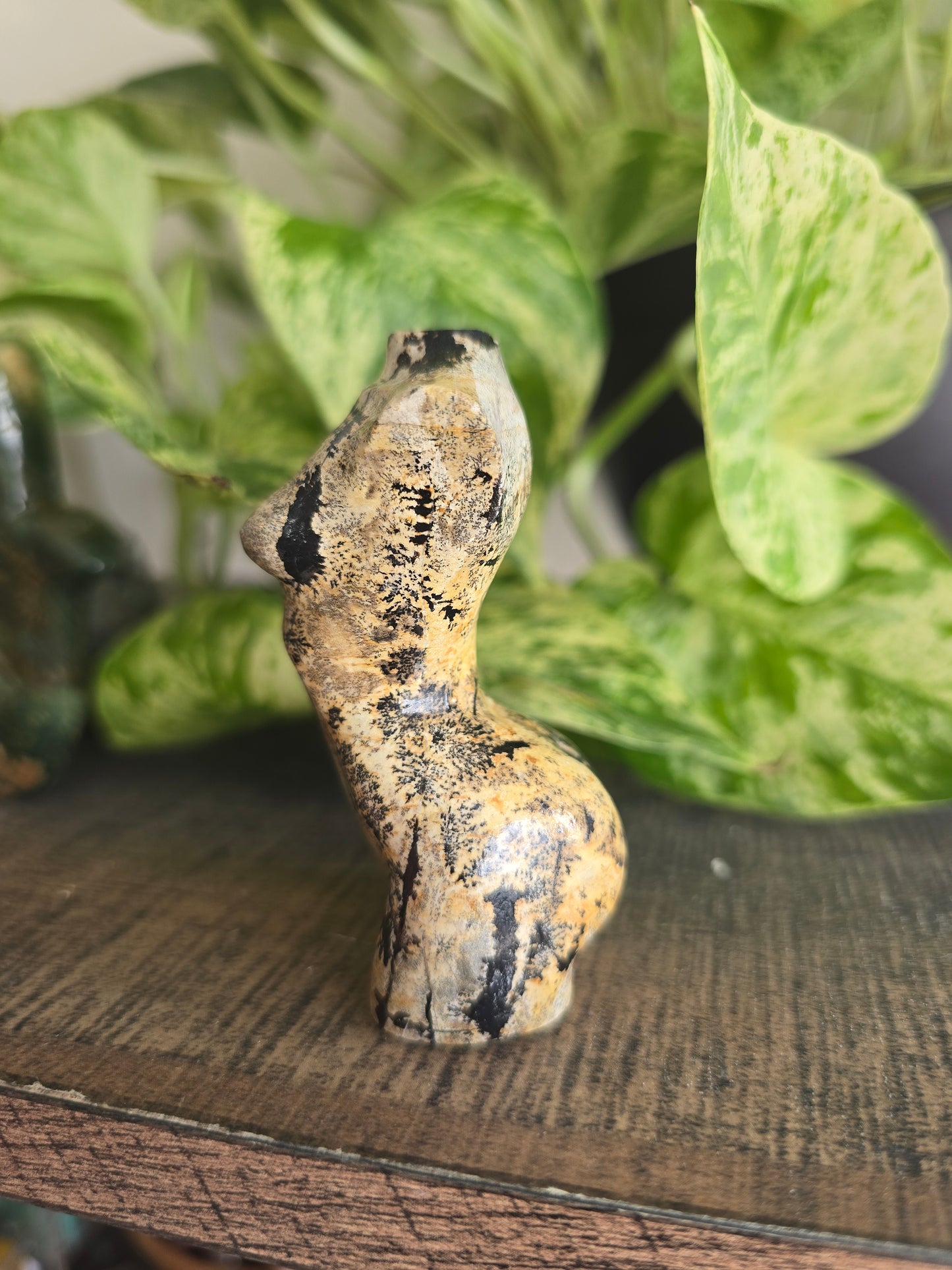 Picture Jasper Female Torso
