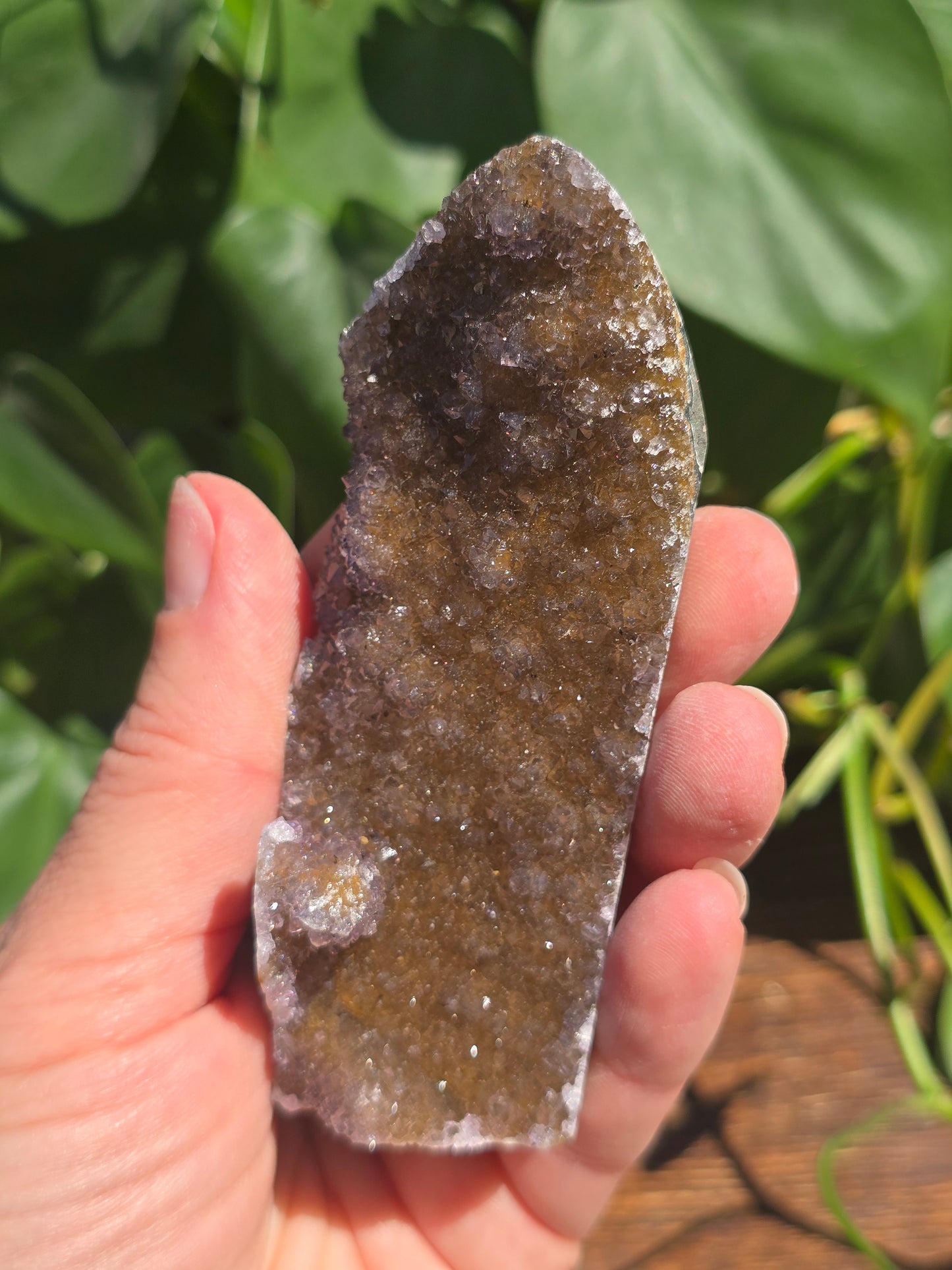 Brazilian Brown Amethyst Cluster