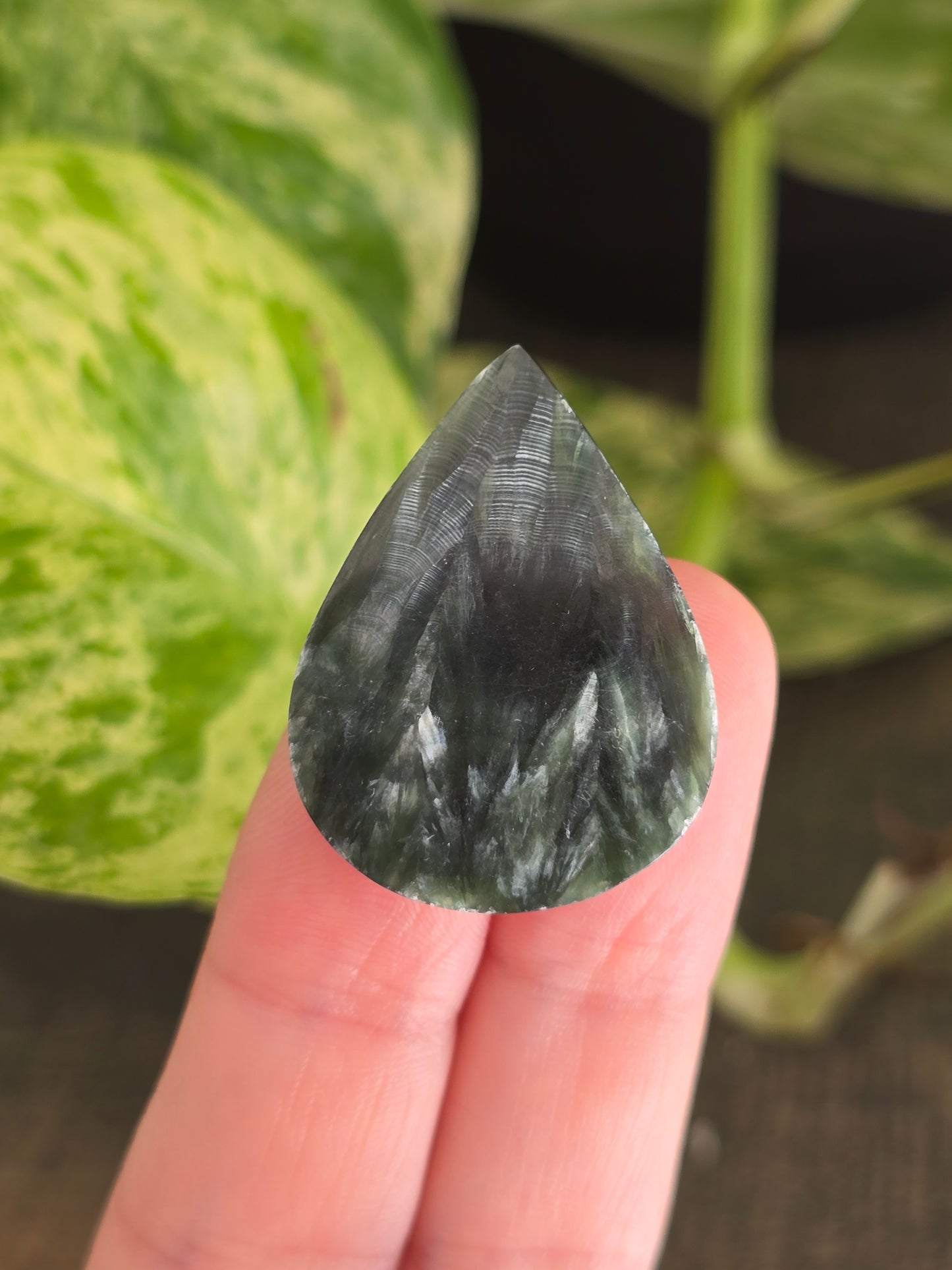 Seraphinite Tear Drop Cabochon