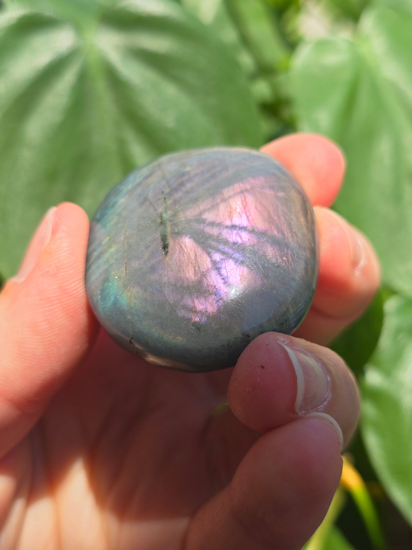 Labradorite Palm Stone "H"