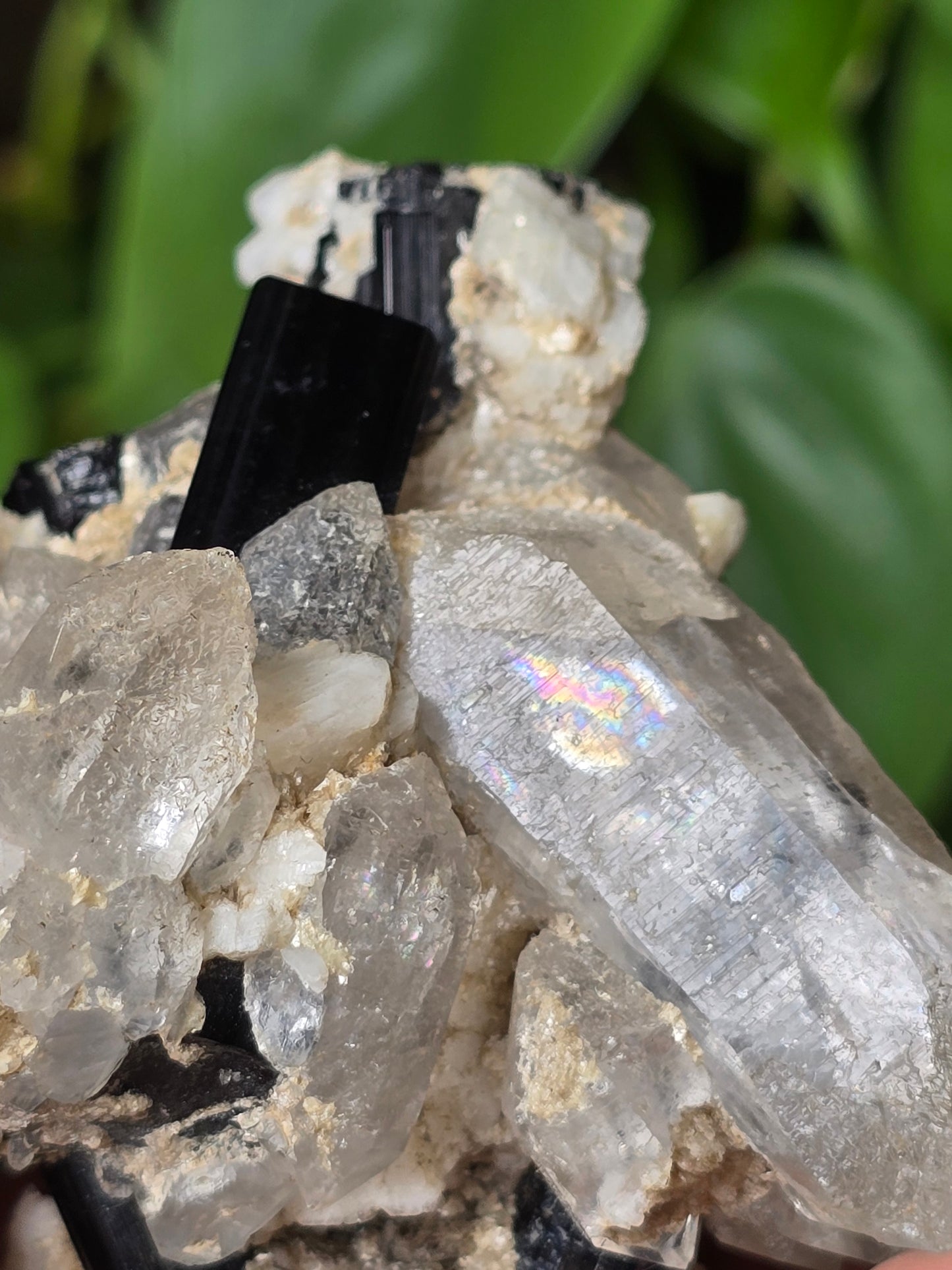 High Quality Black Tourmaline on Quartz Matrix