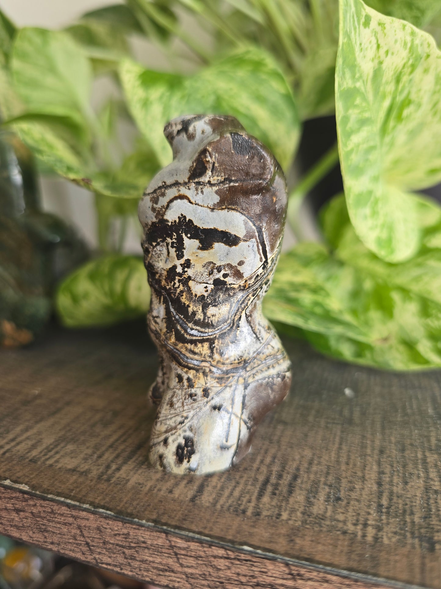 Picture Jasper Male Torso