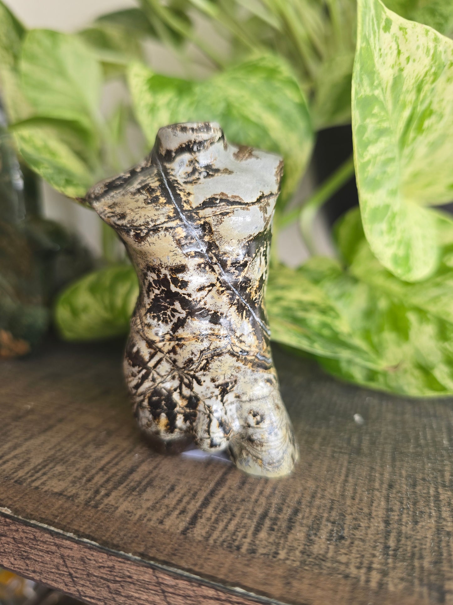 Picture Jasper Male Torso