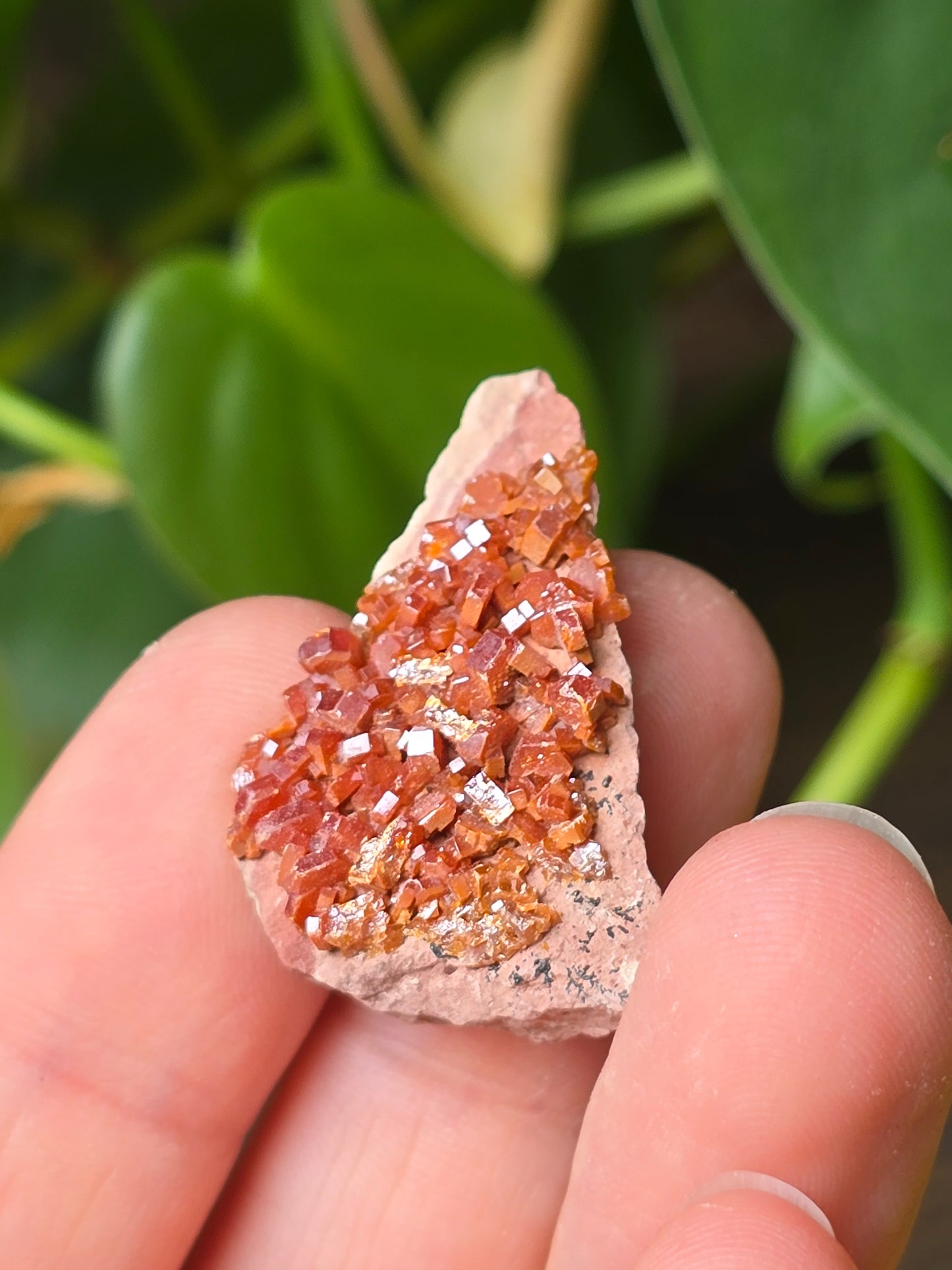 Vanadinite Cluster