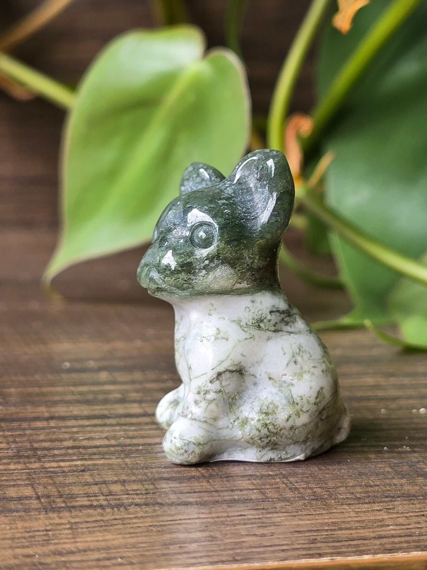 Moss Agate French Bulldog