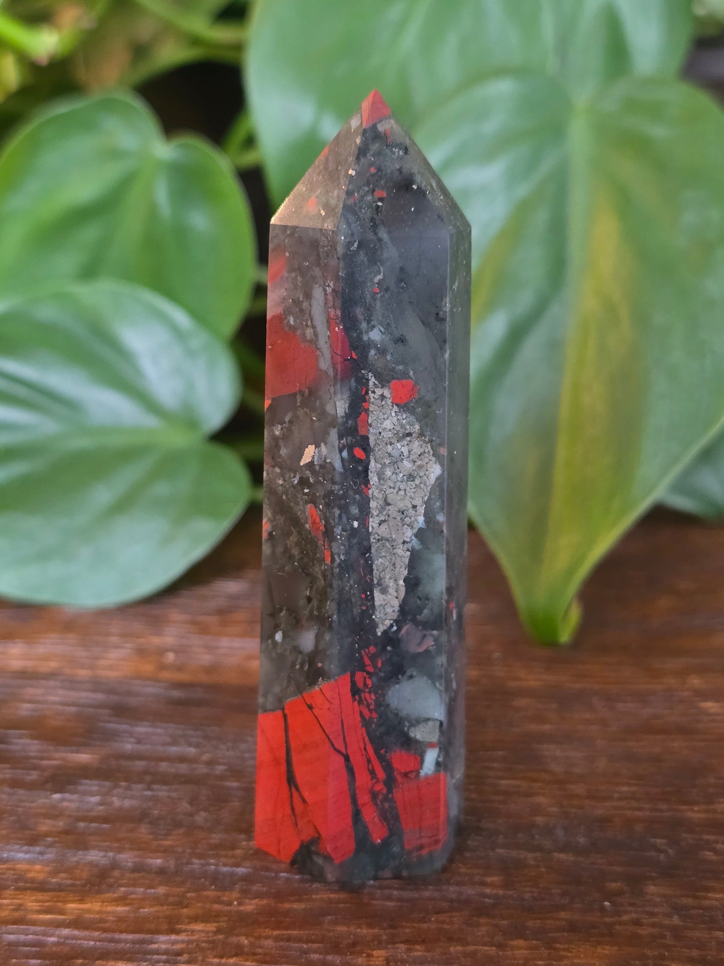 African Bloodstone Point "J"