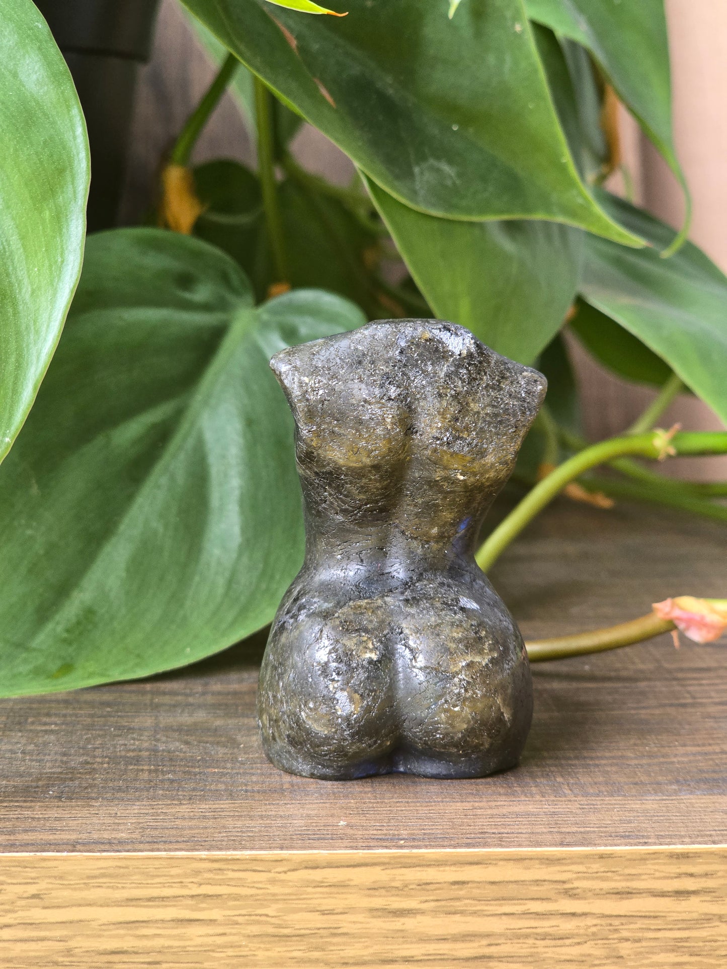 Labradorite Female Torso High Flash