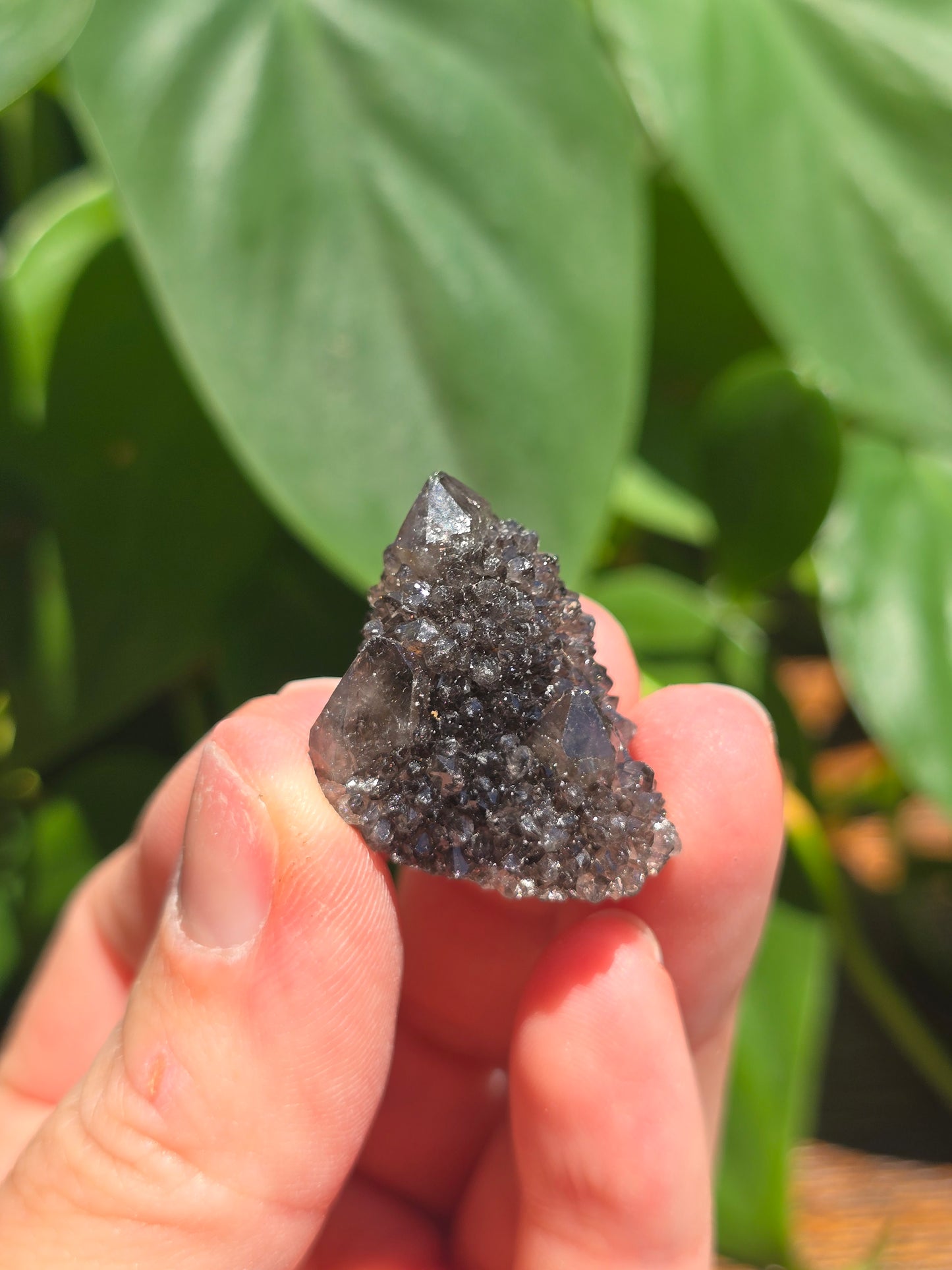 Smoky Black Spirit Quartz Specimen "G"