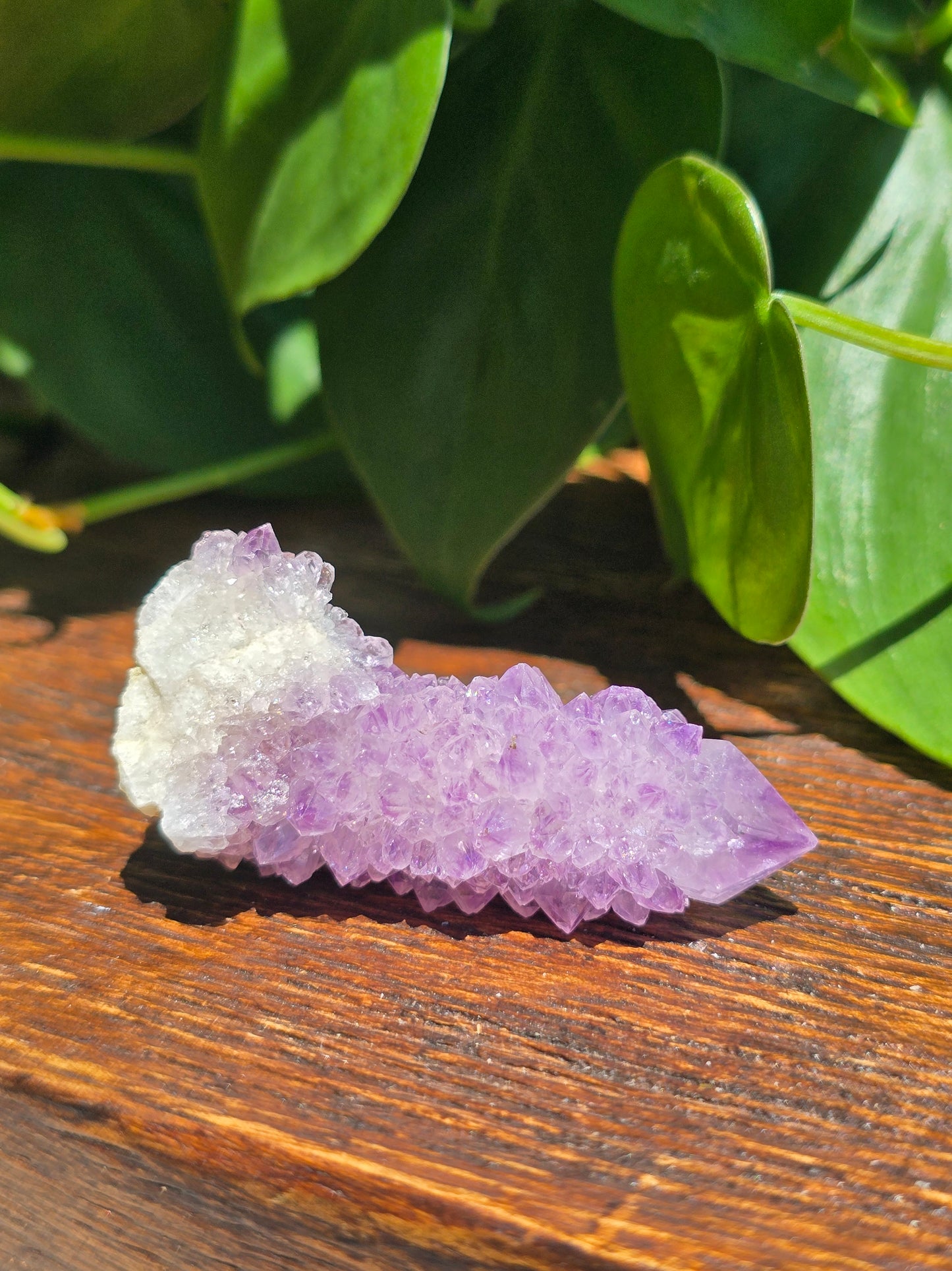 Amethyst Spirit Cactus Quartz Crystal Specimen "C"