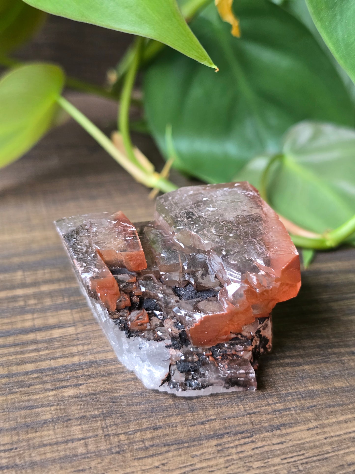 Chocolate Calcite Specimen