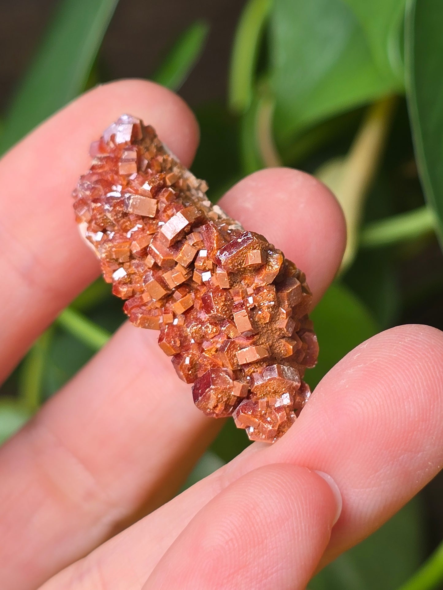 Vanadinite Cluster