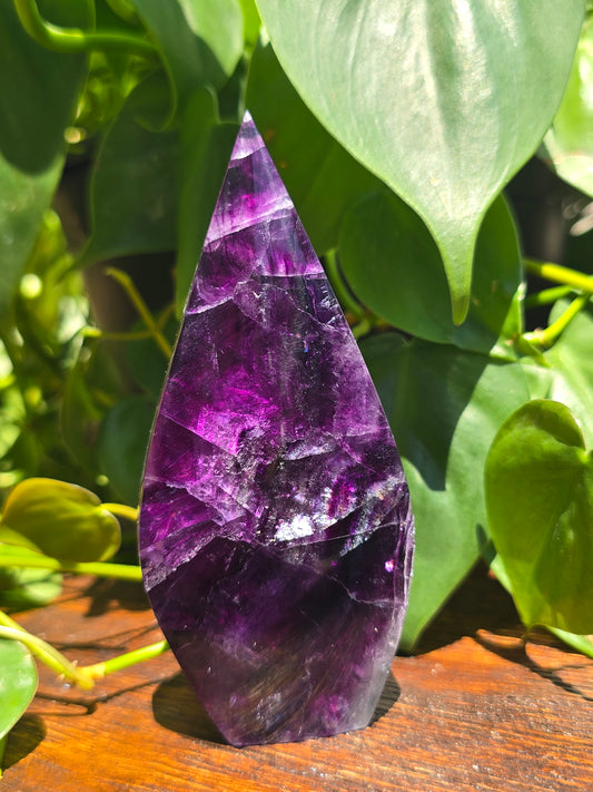 Rainbow Fluorite Flipper "G"