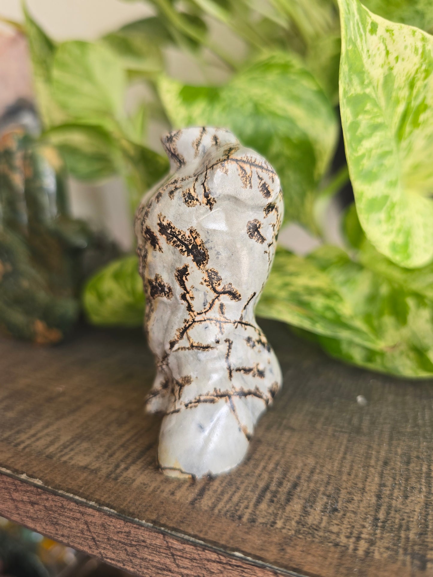 Picture Jasper Male Torso