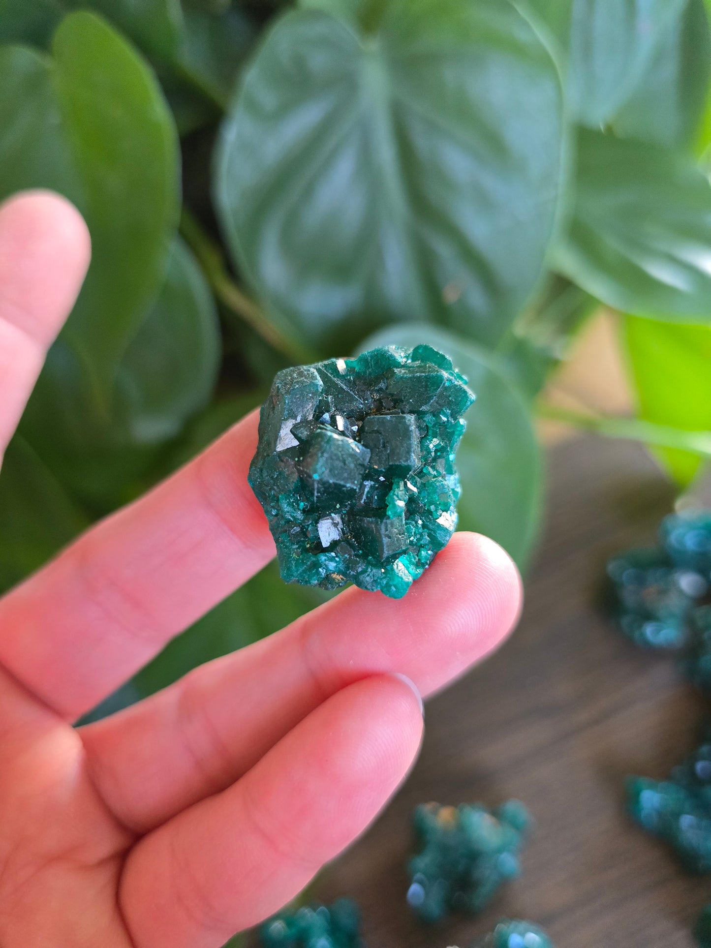 Dioptase Rough Specimen - Congo (14)
