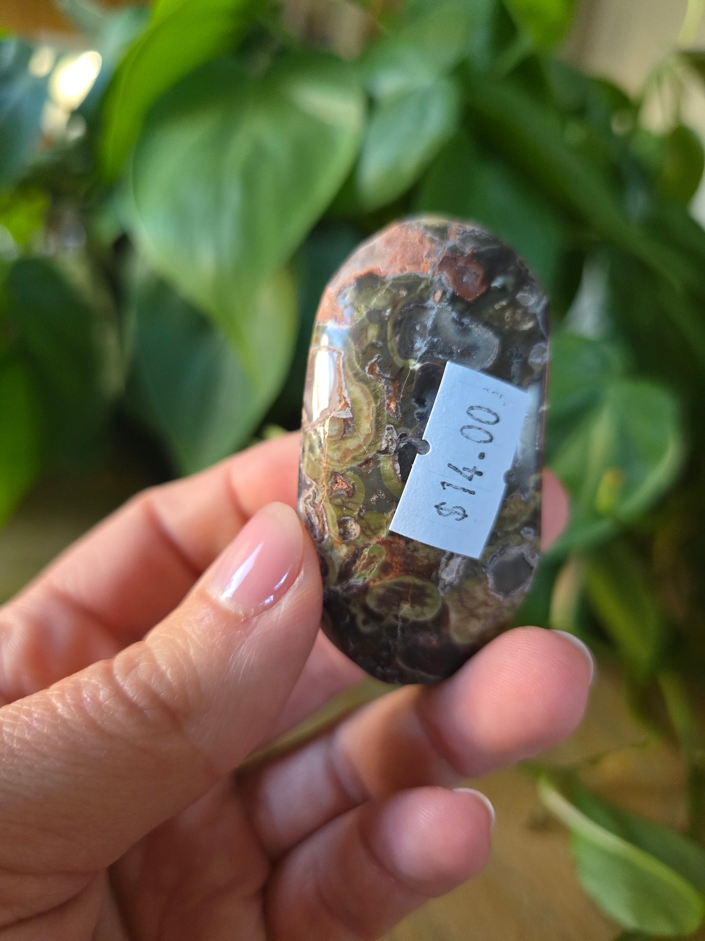 Money Agate Palm Stone